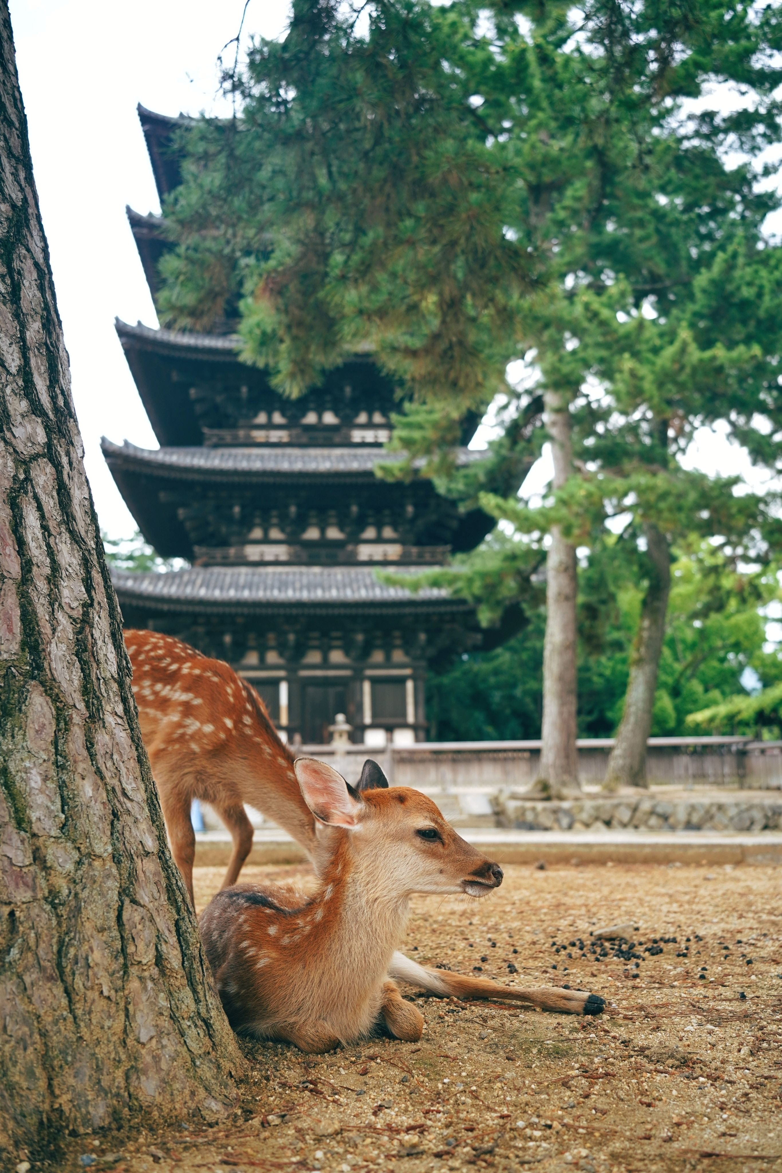 Trip Photo 8