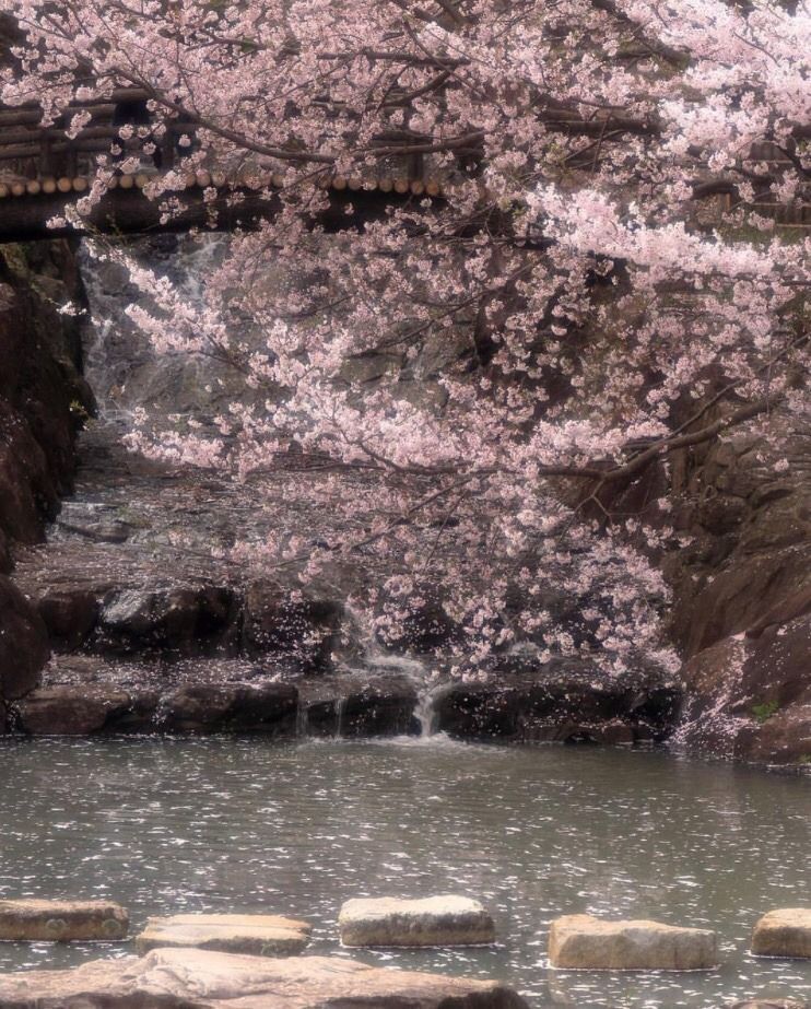 Trip Photo 7