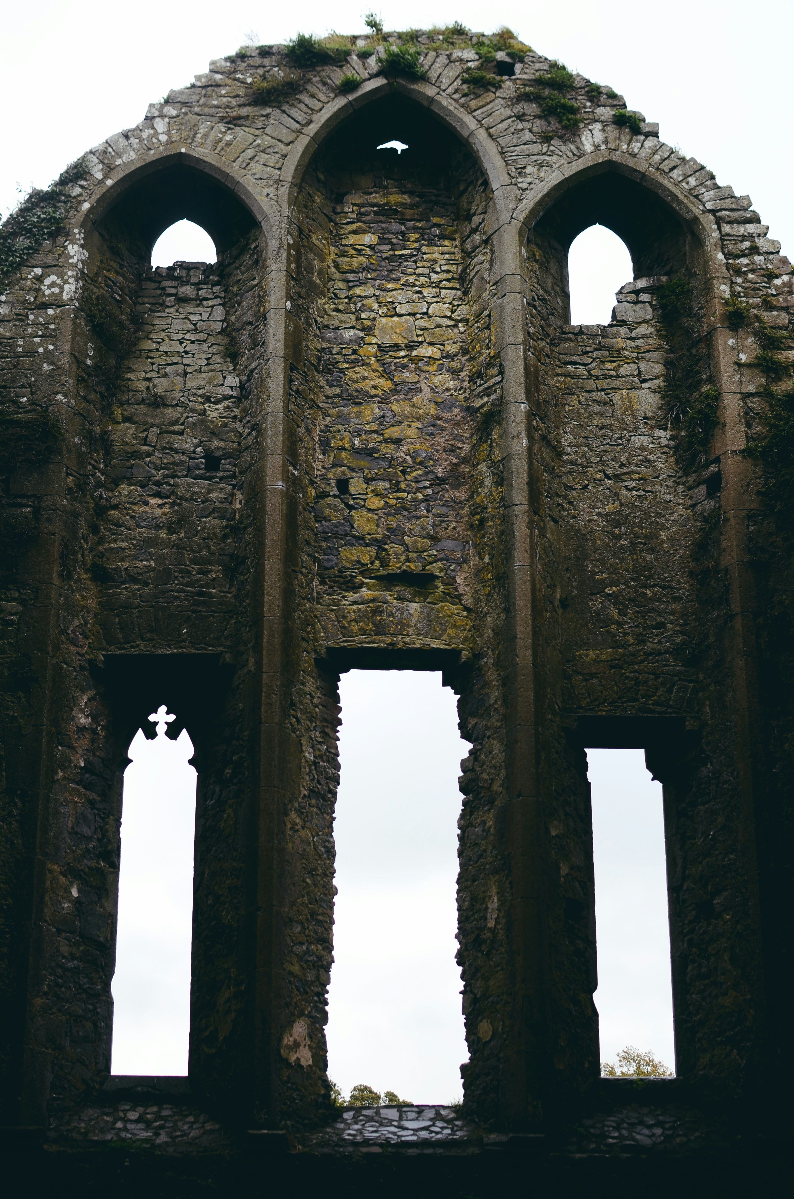 Trip Photo 8