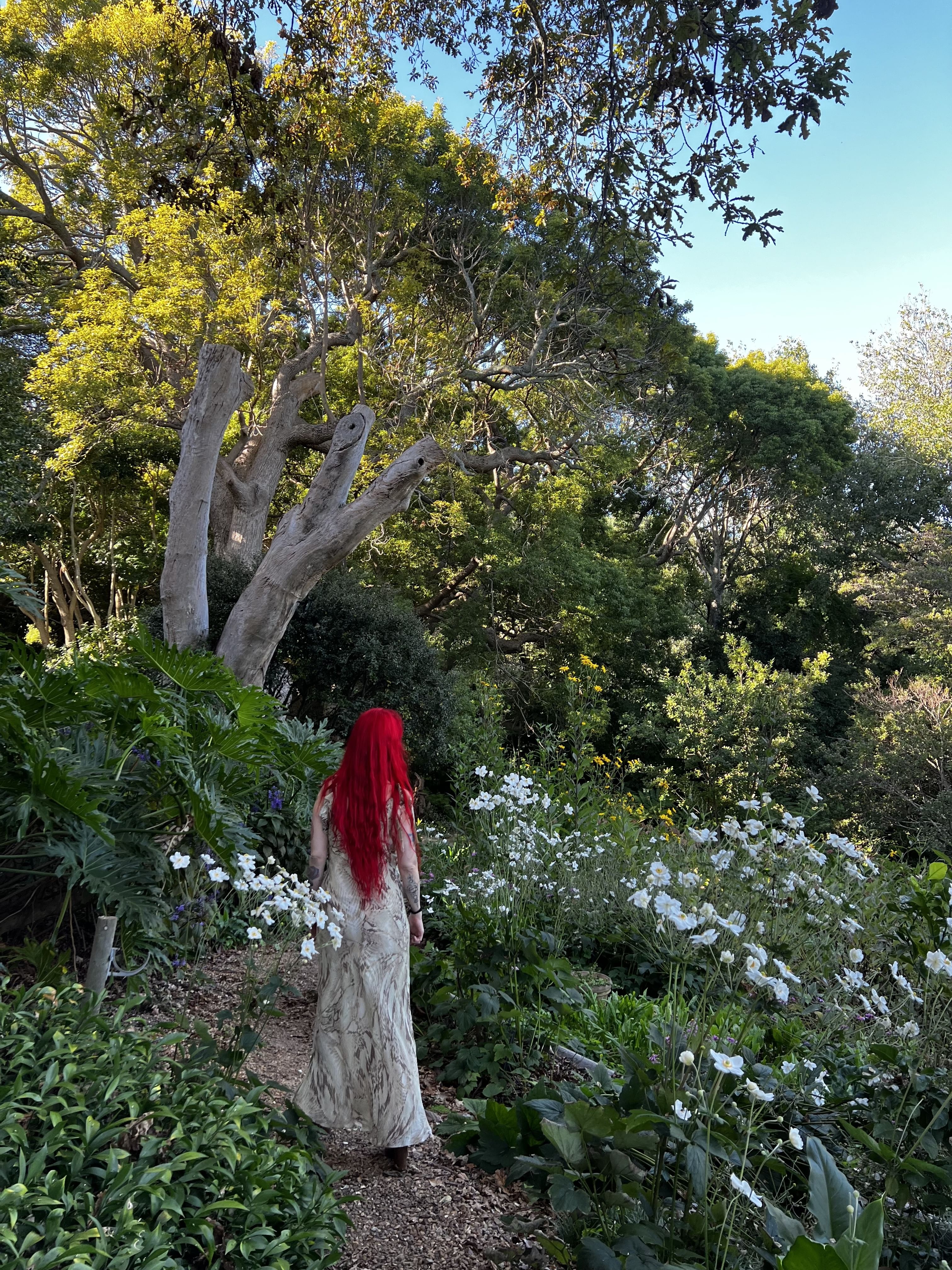 Trip Photo 5
