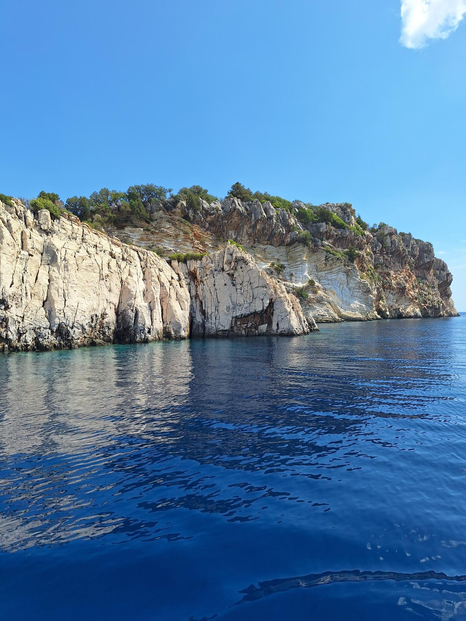 Trip Photo 8