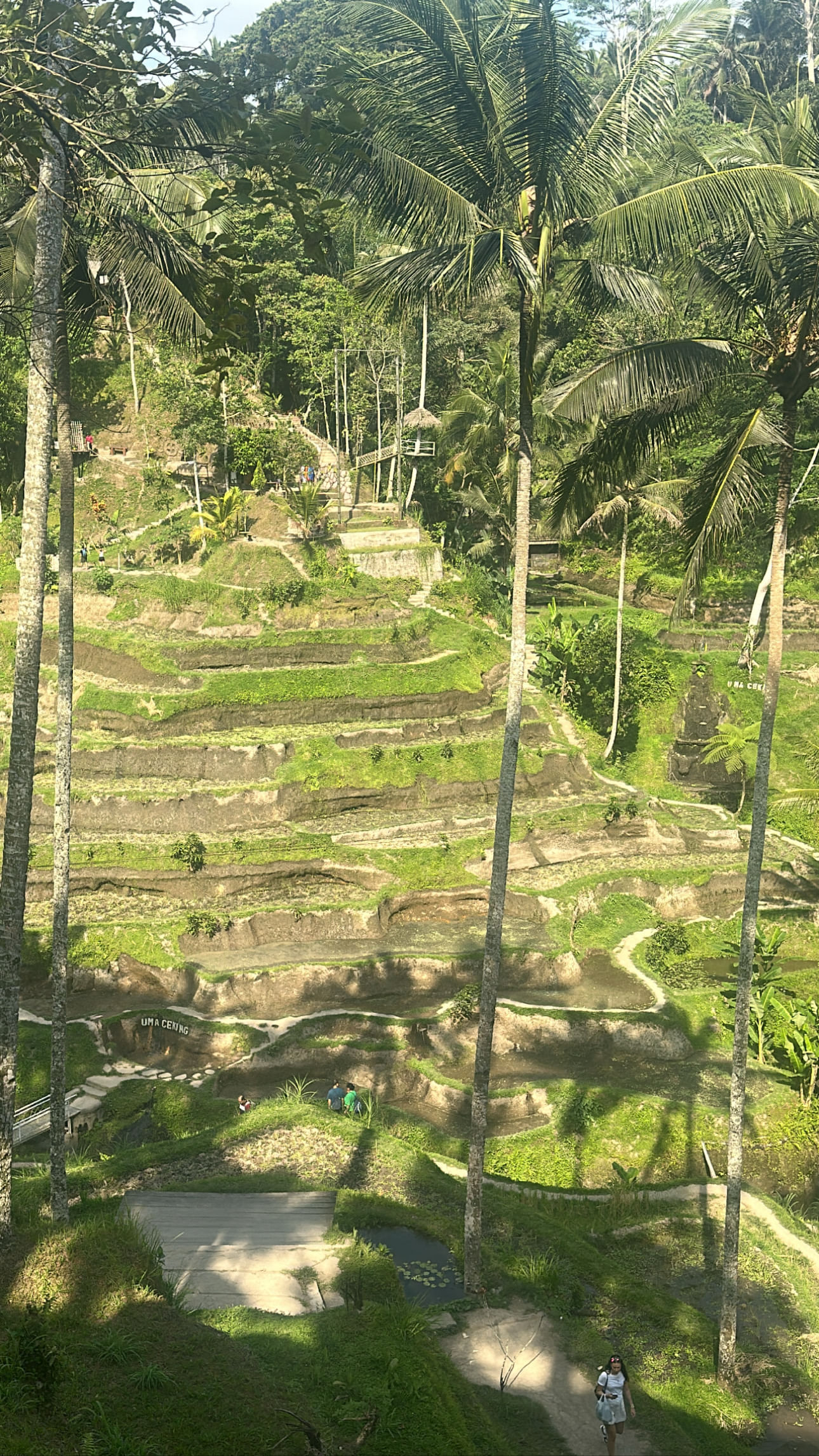Trip Photo 6