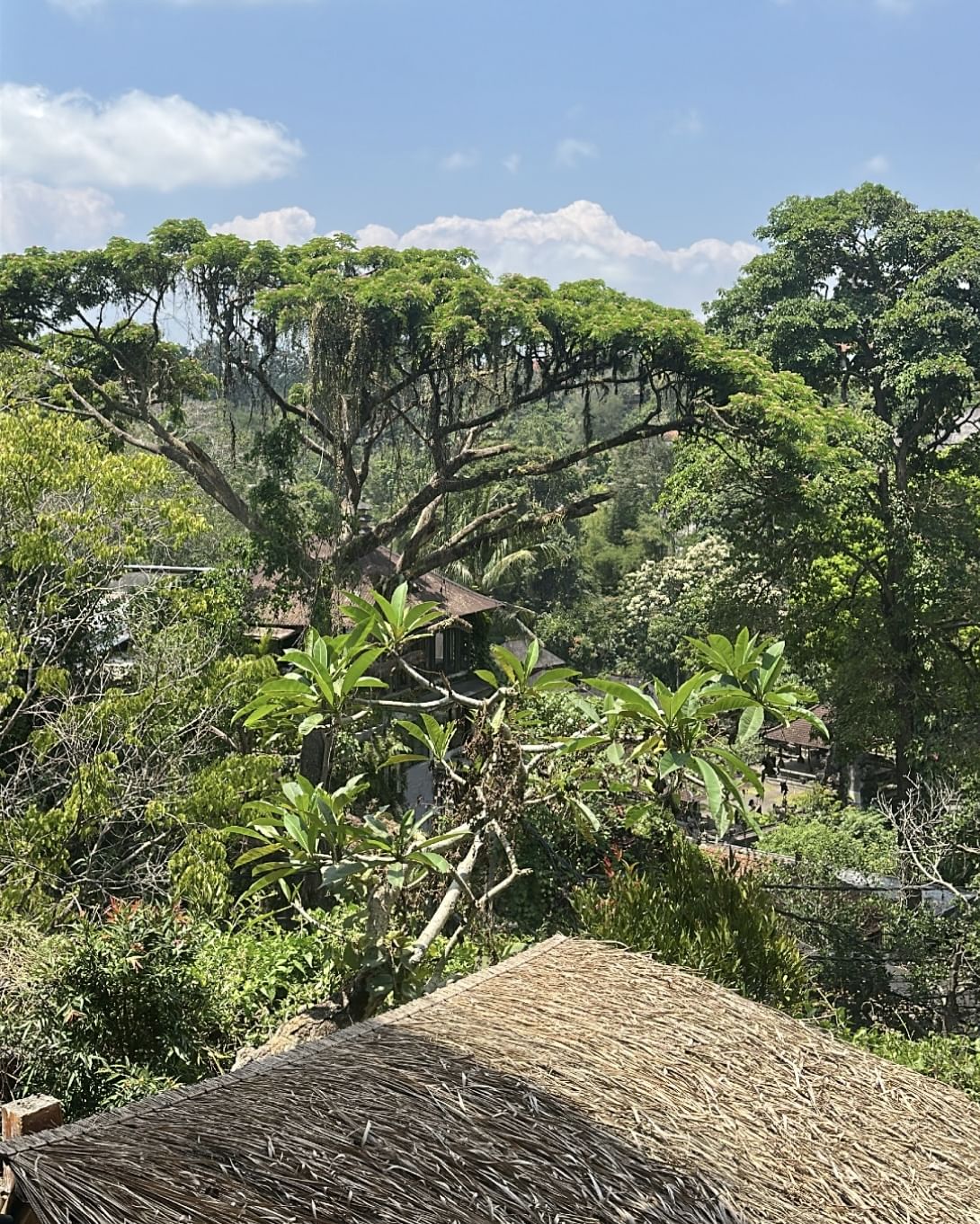 Trip Photo 8