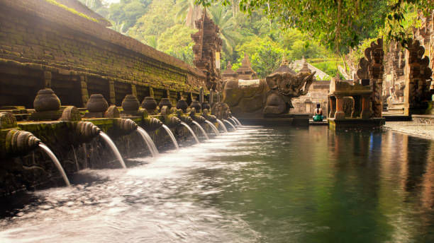 Trip Photo 1
