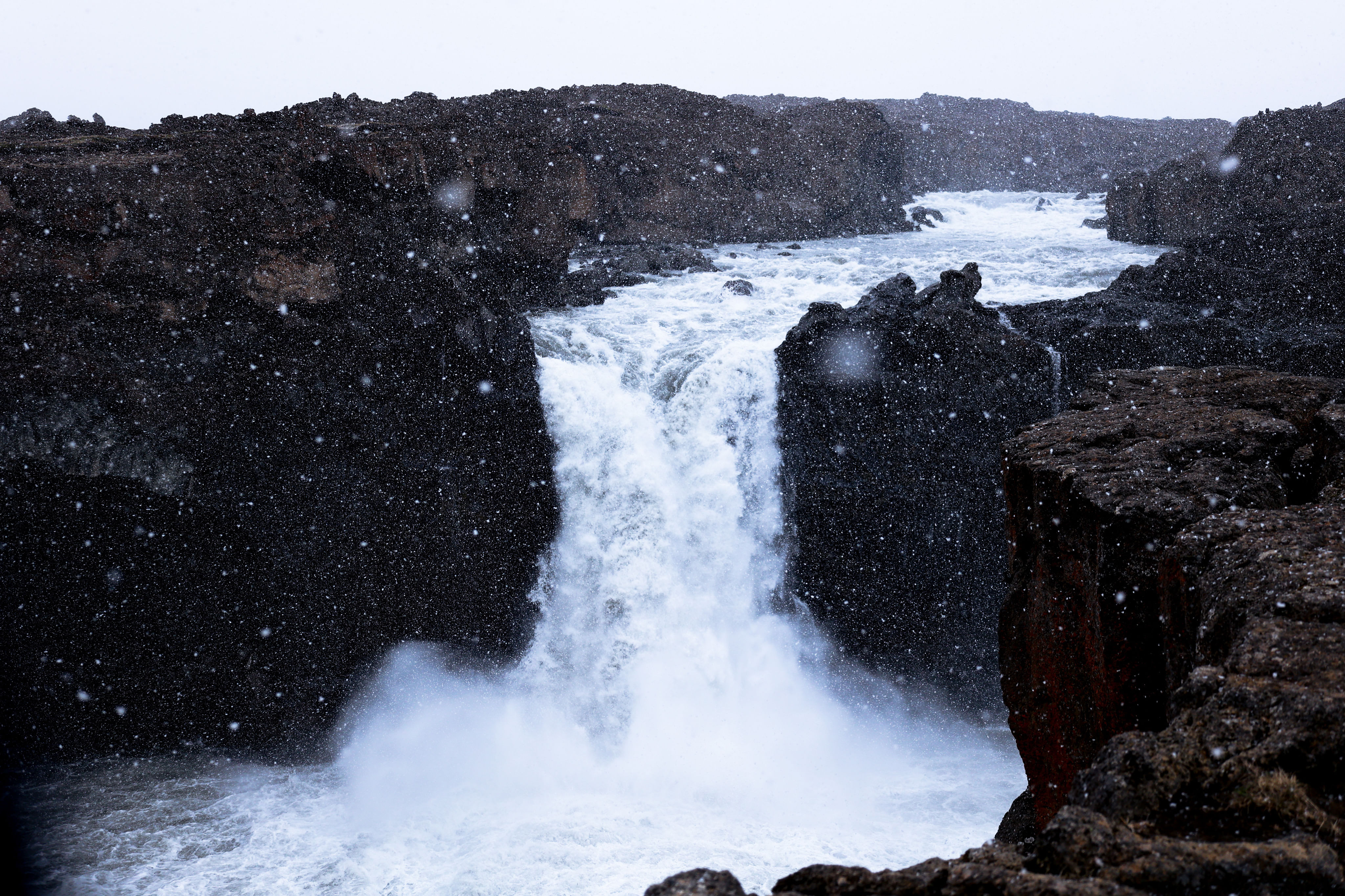Trip Photo 8