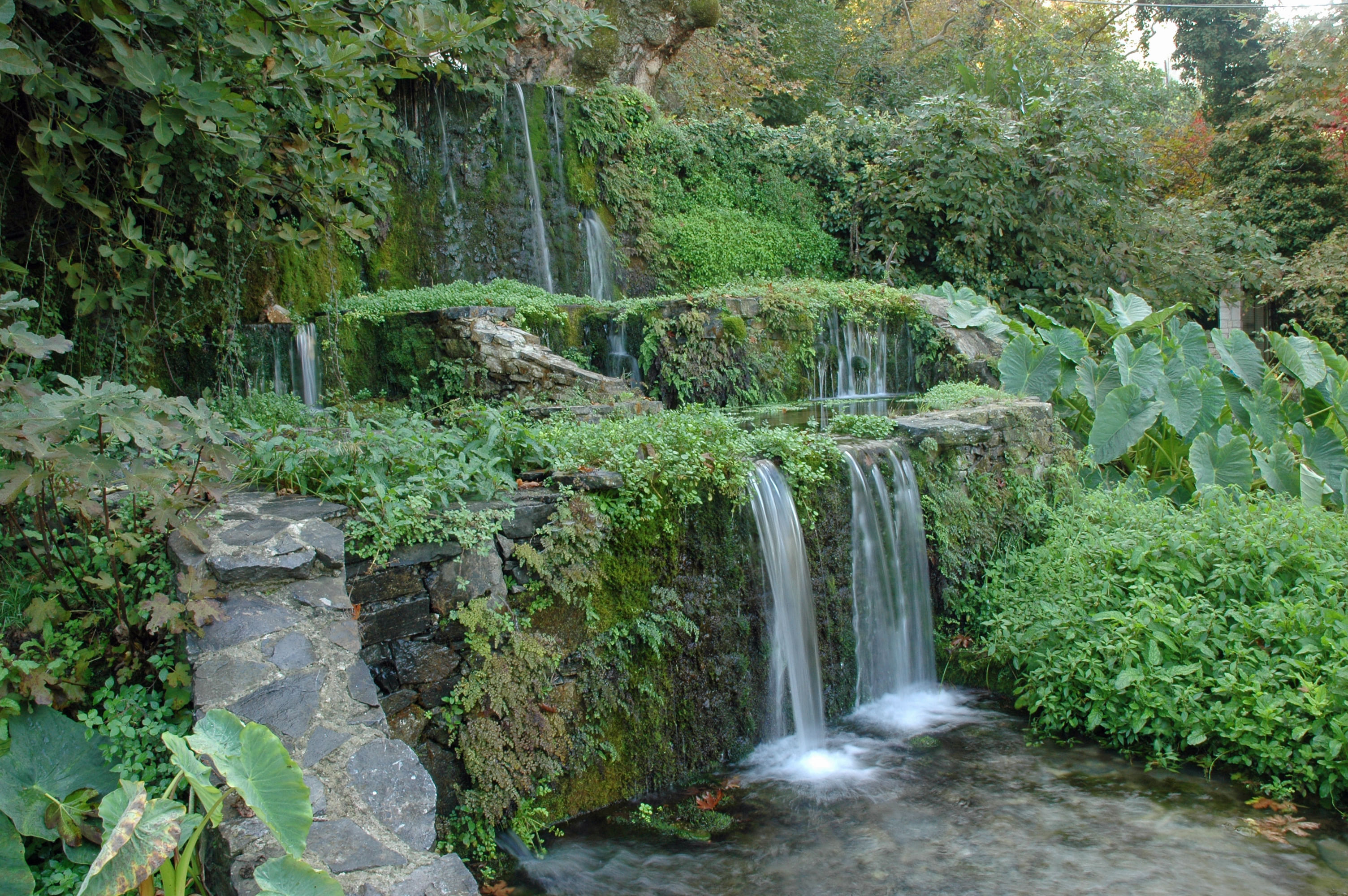 Trip Photo 9