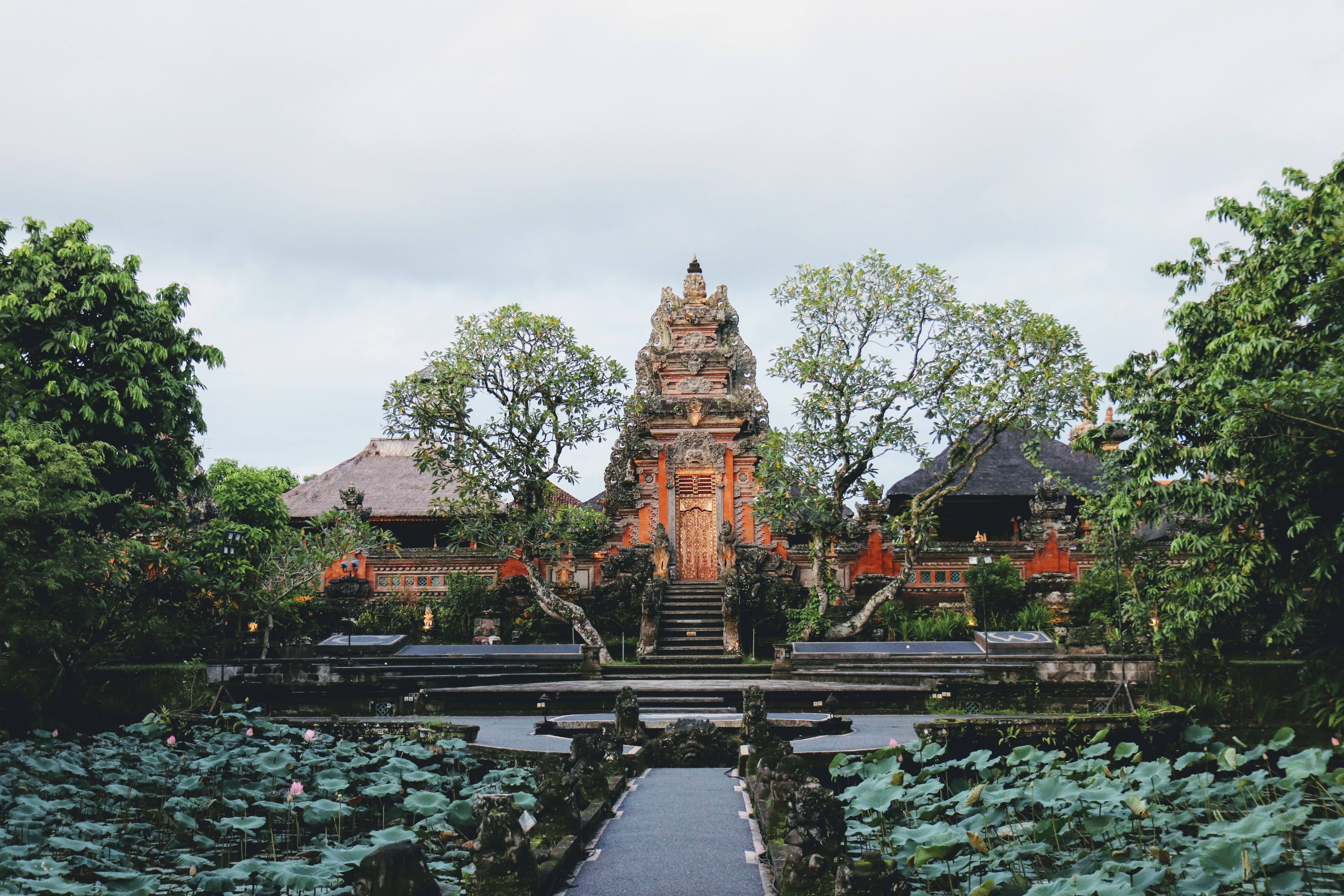 Trip Photo 4