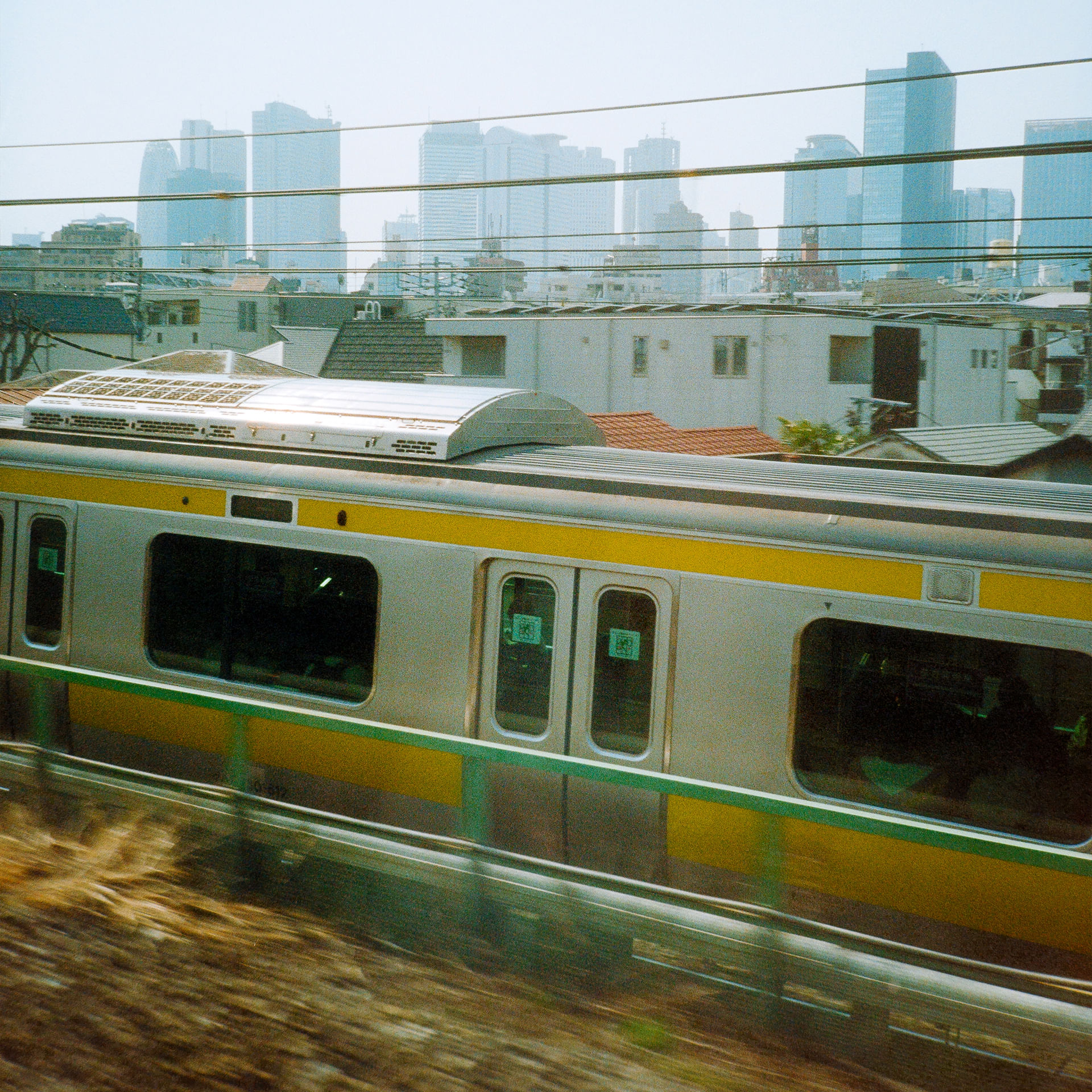 Trip Photo 4