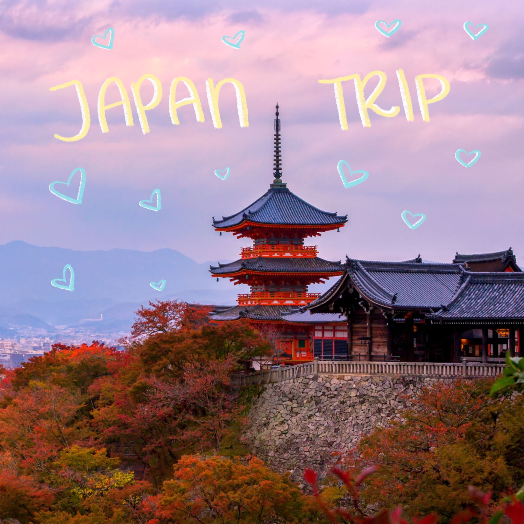 Trip Photo 1