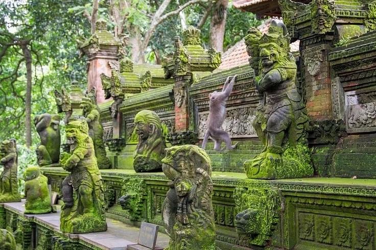 Trip Photo 4