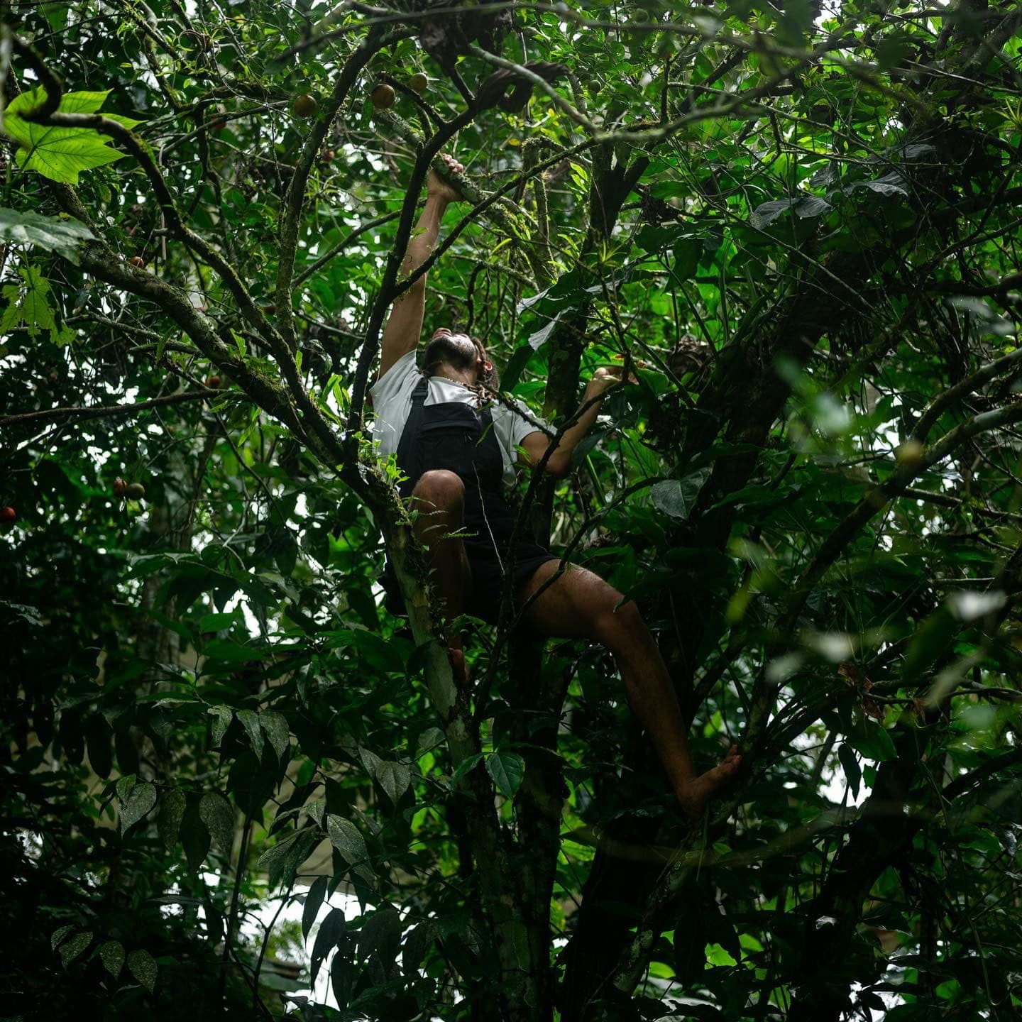 Trip Photo 4