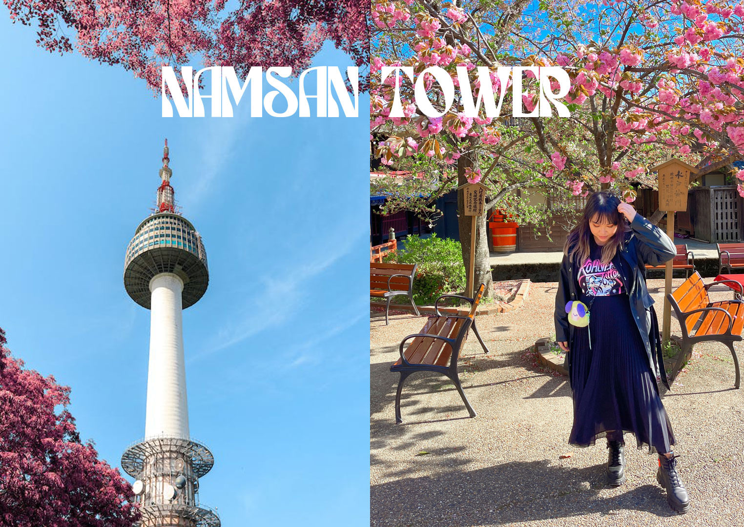 Trip Photo 3