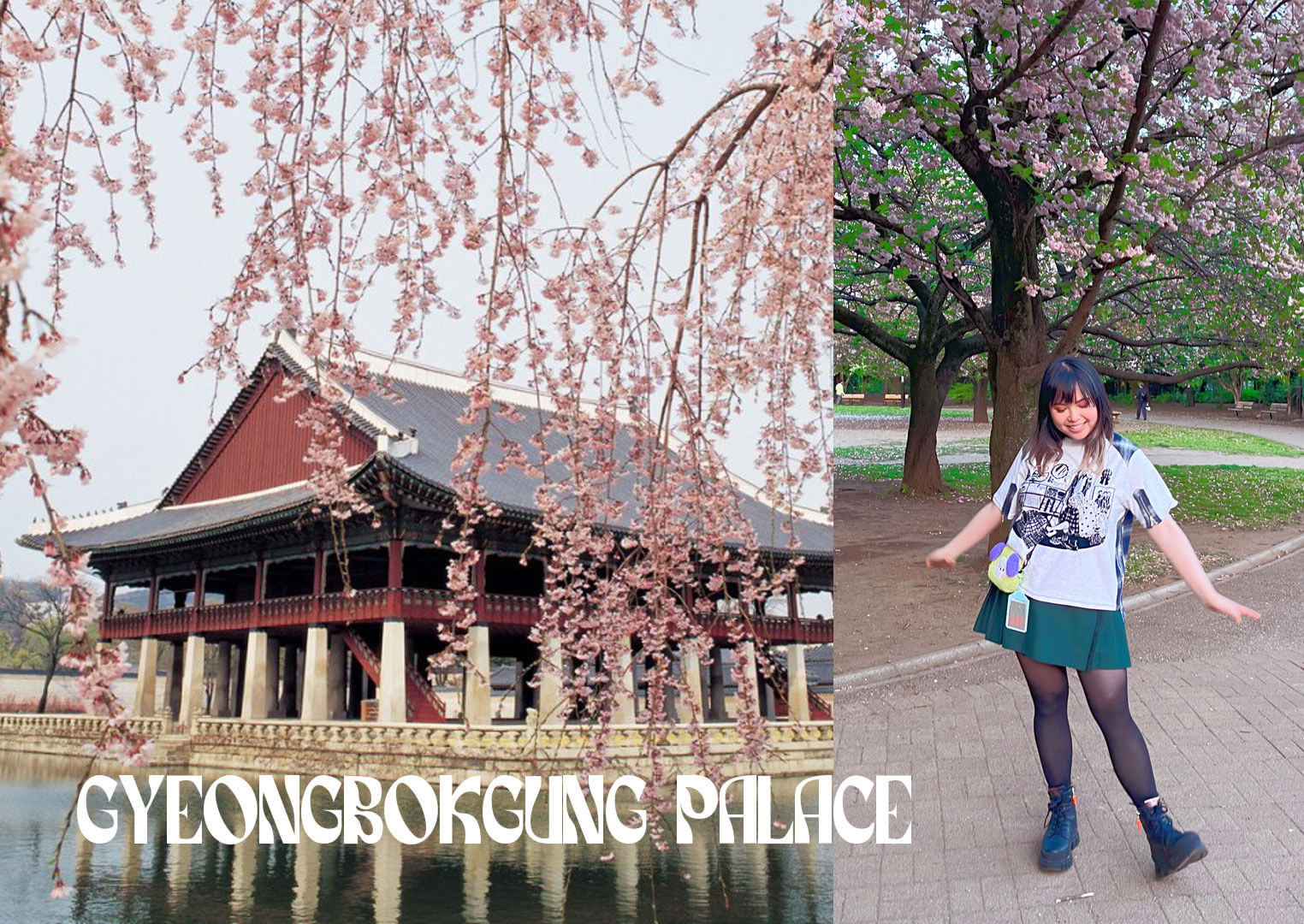 Trip Photo 7