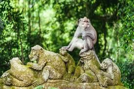 Trip Photo 9