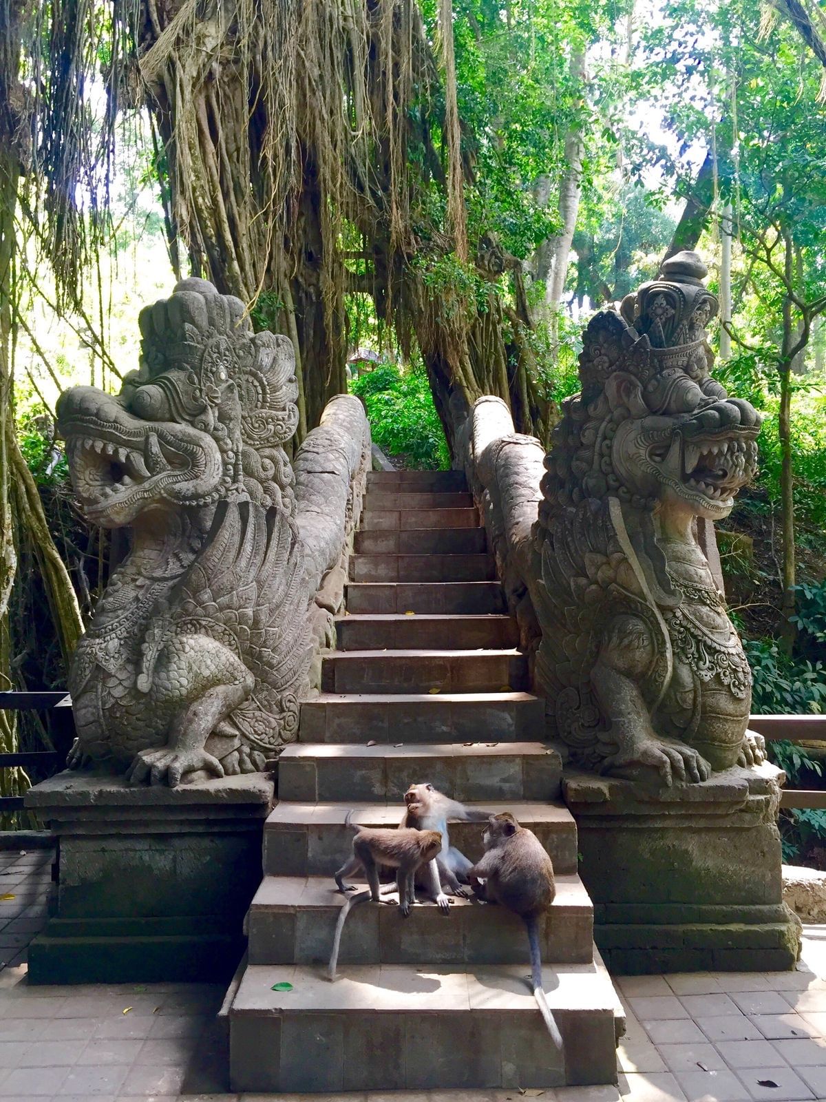 Trip Photo 5