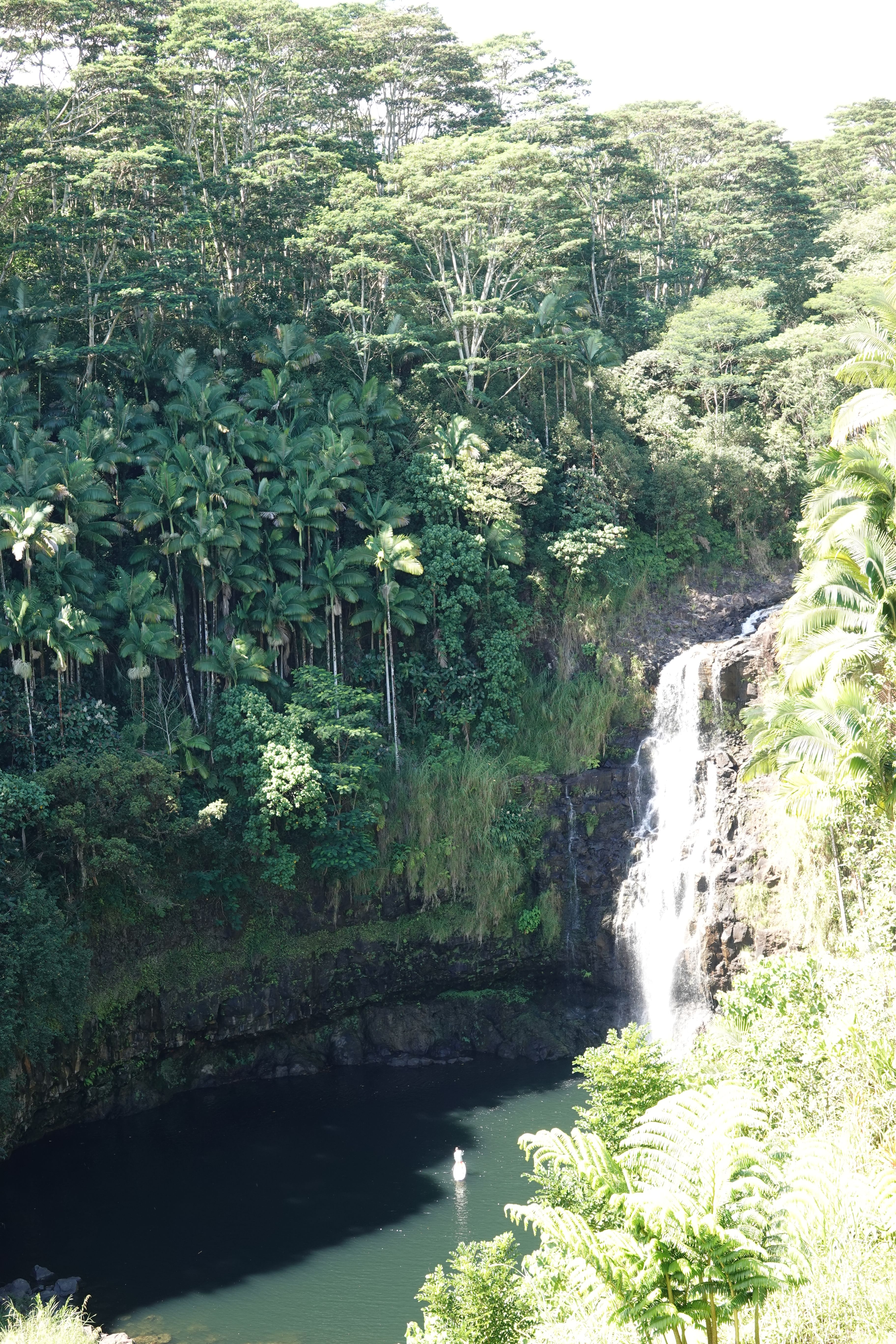 Trip Photo 9