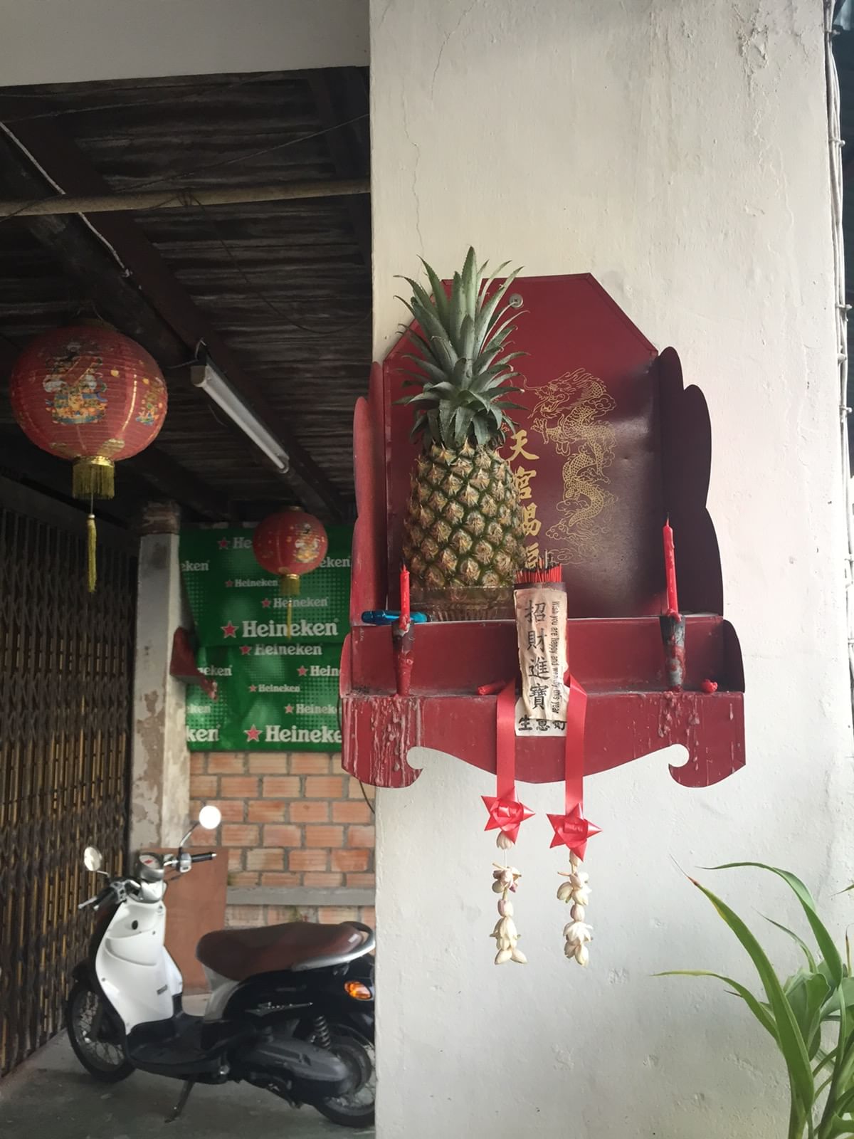 Trip Photo 6