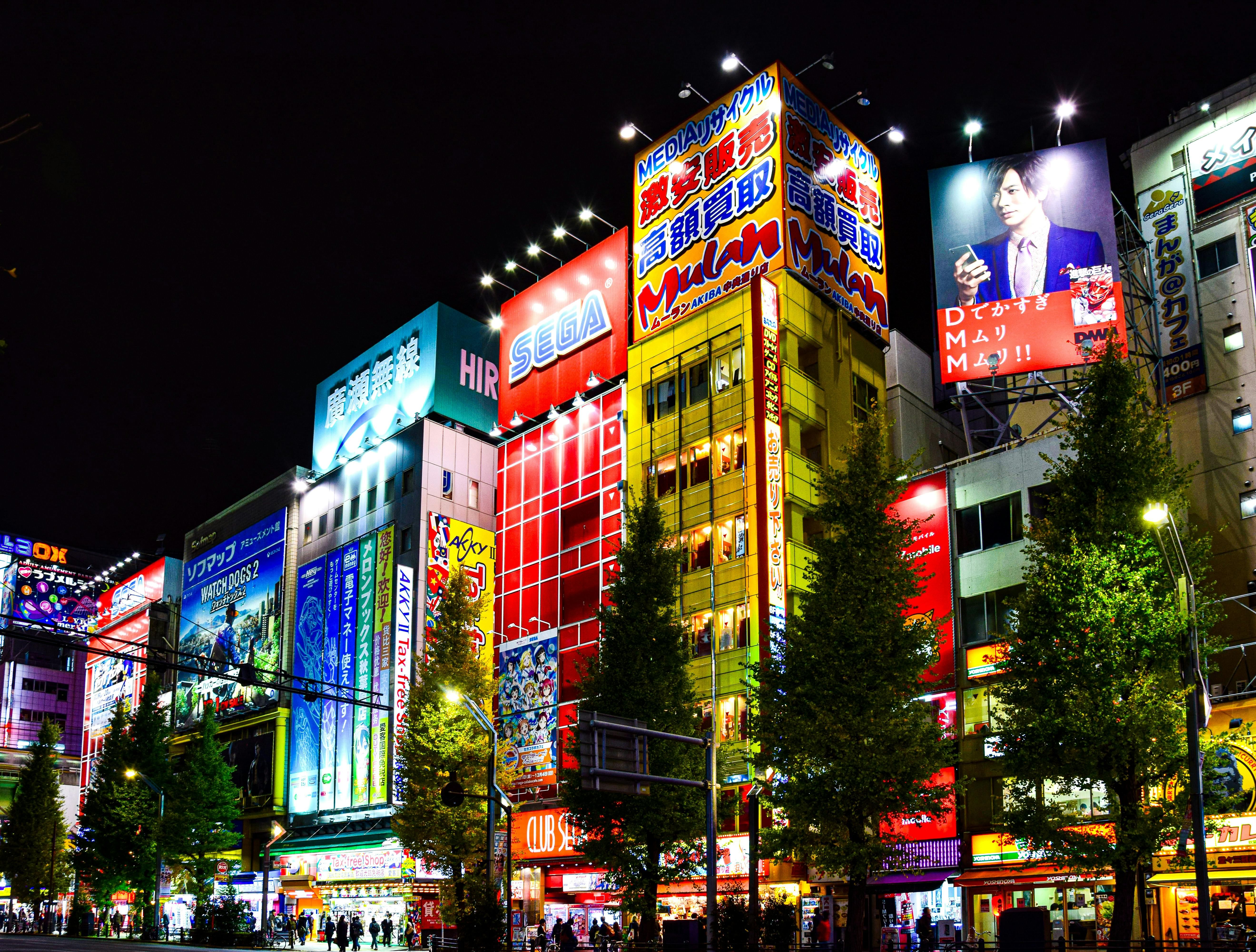Trip Photo 6