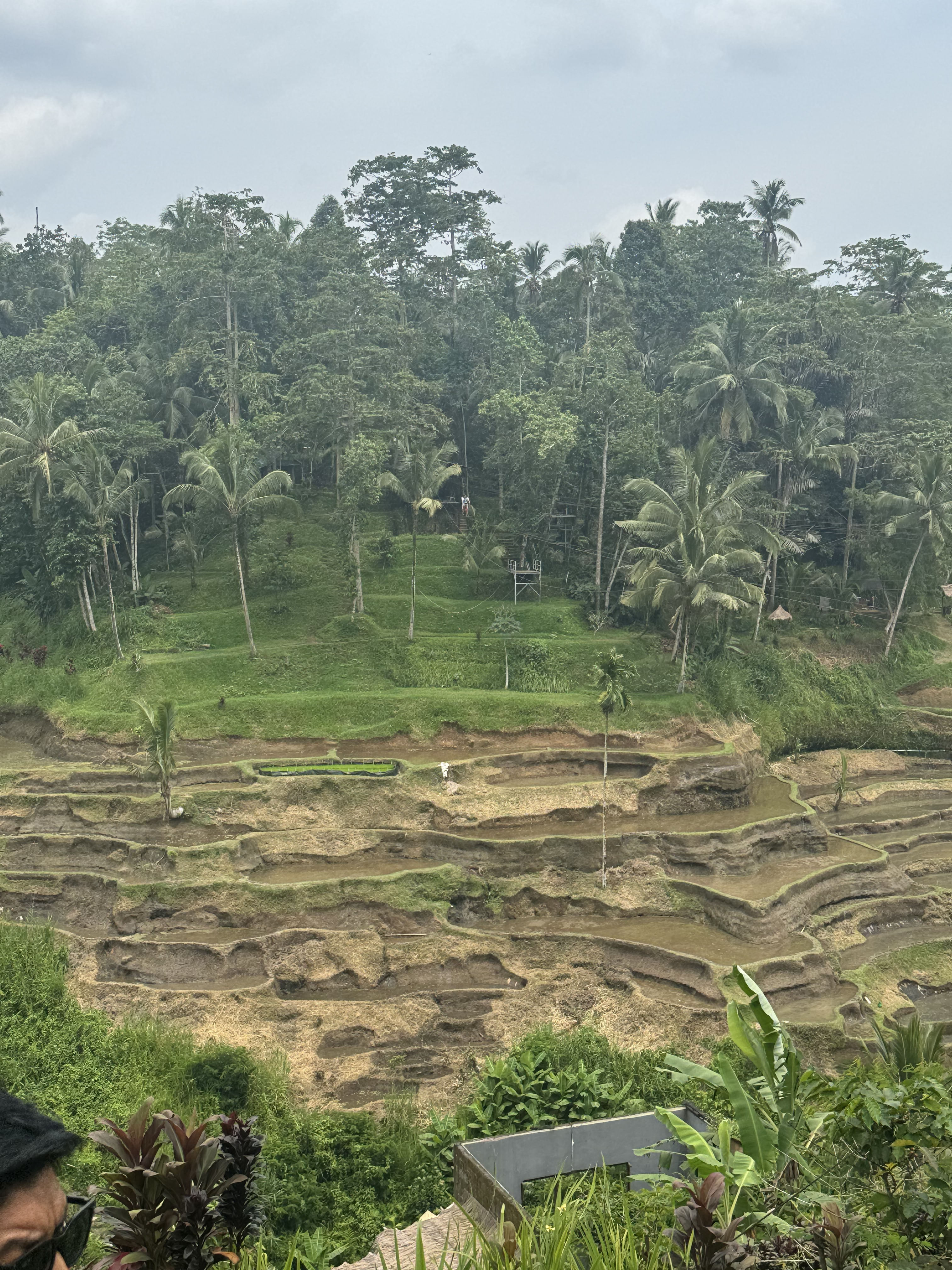 Trip Photo 3