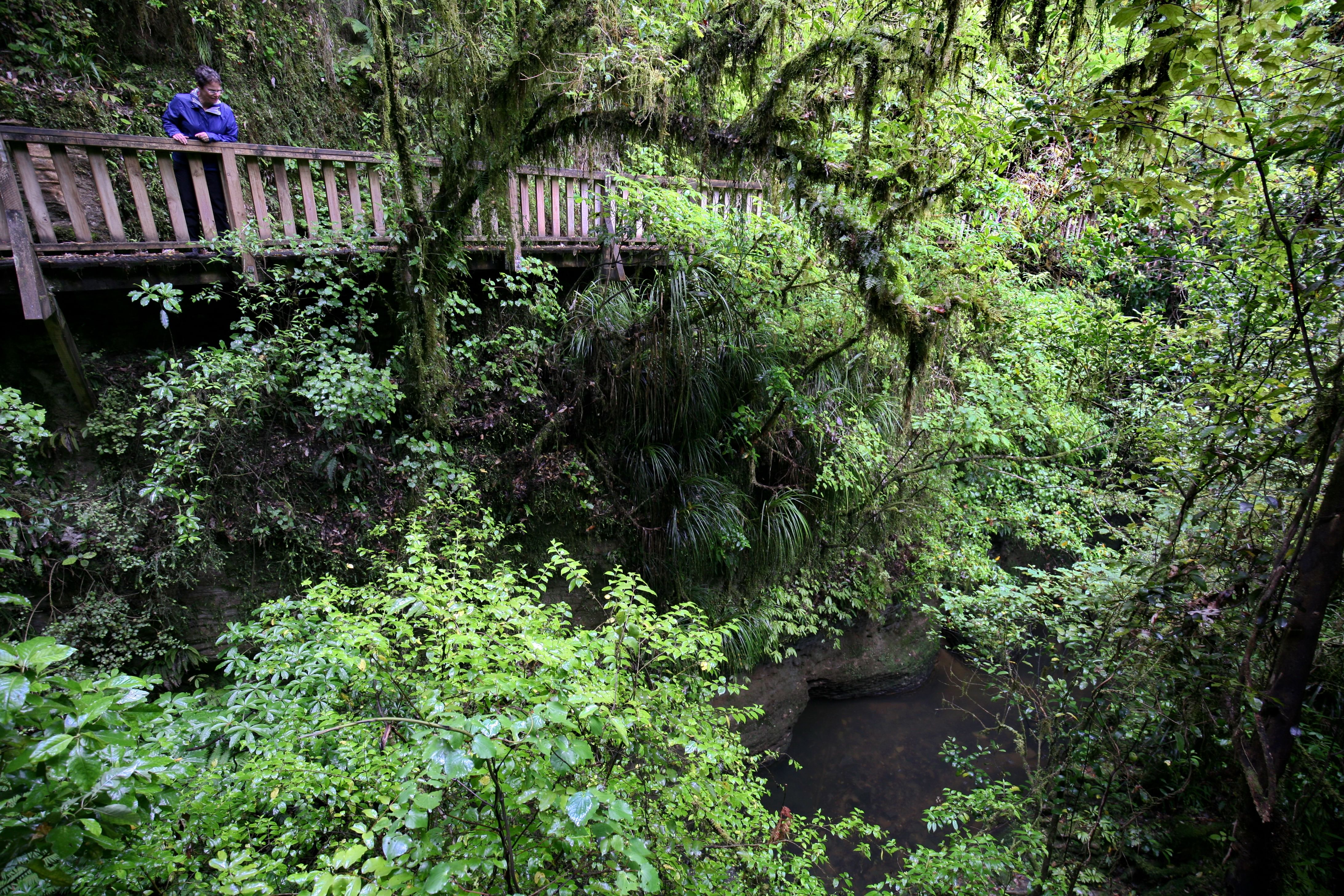 Trip Photo 3