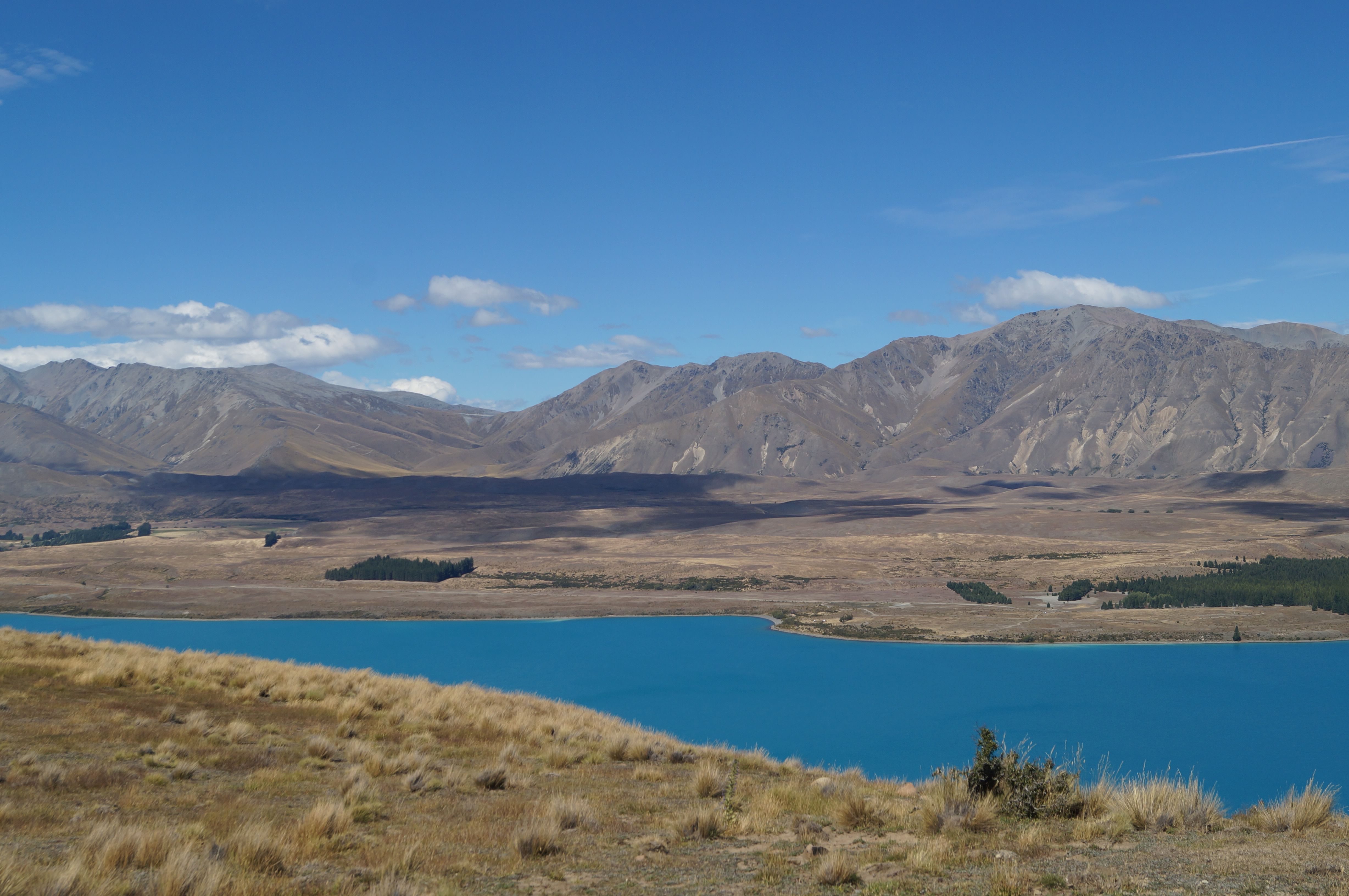 Trip Photo 6