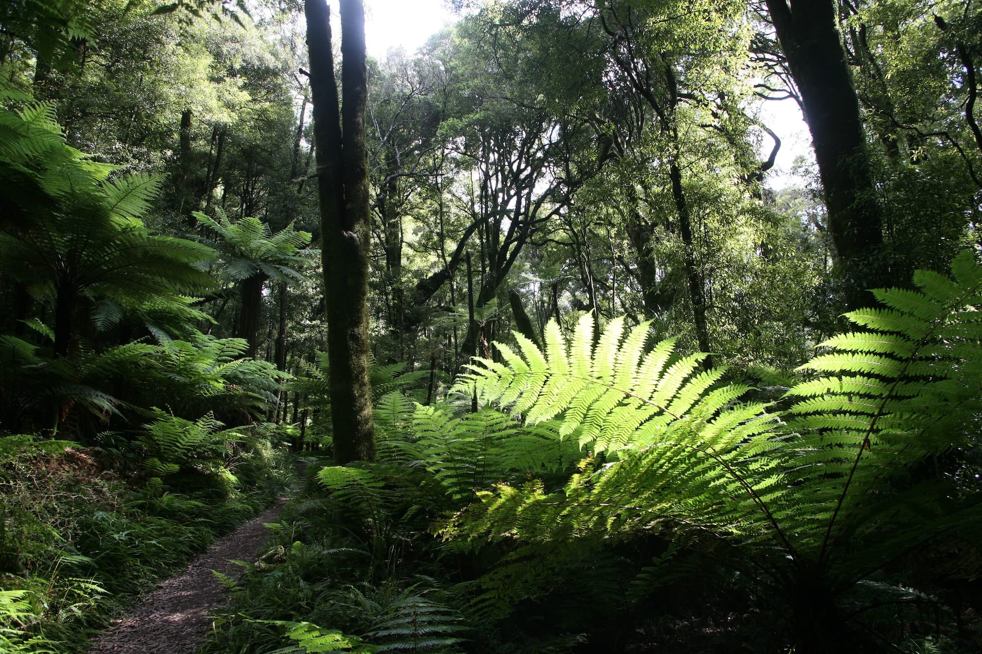 Trip Photo 10