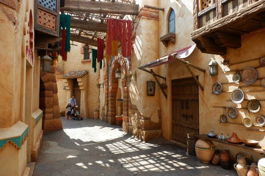 Trip Photo 8