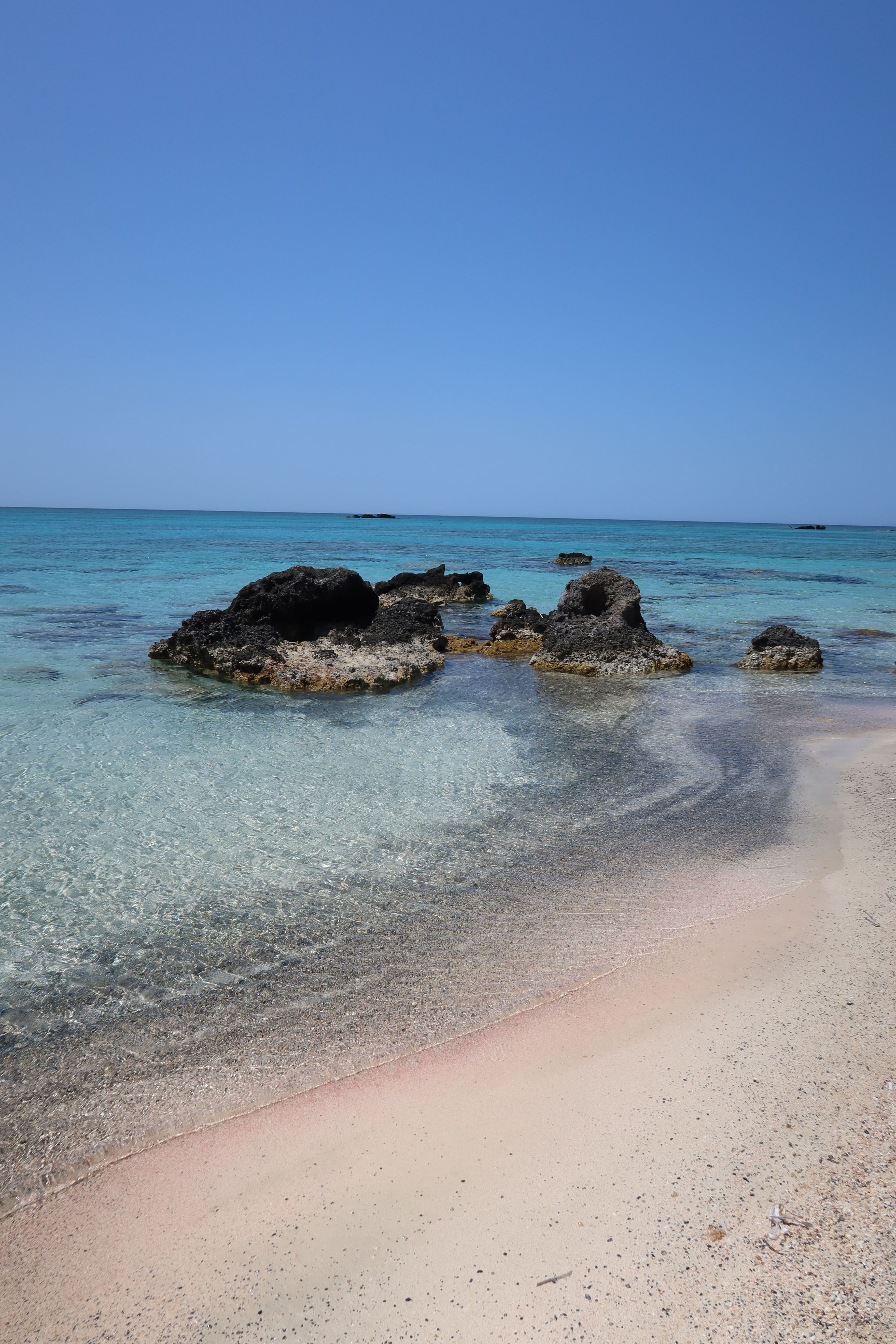 Trip Photo 4