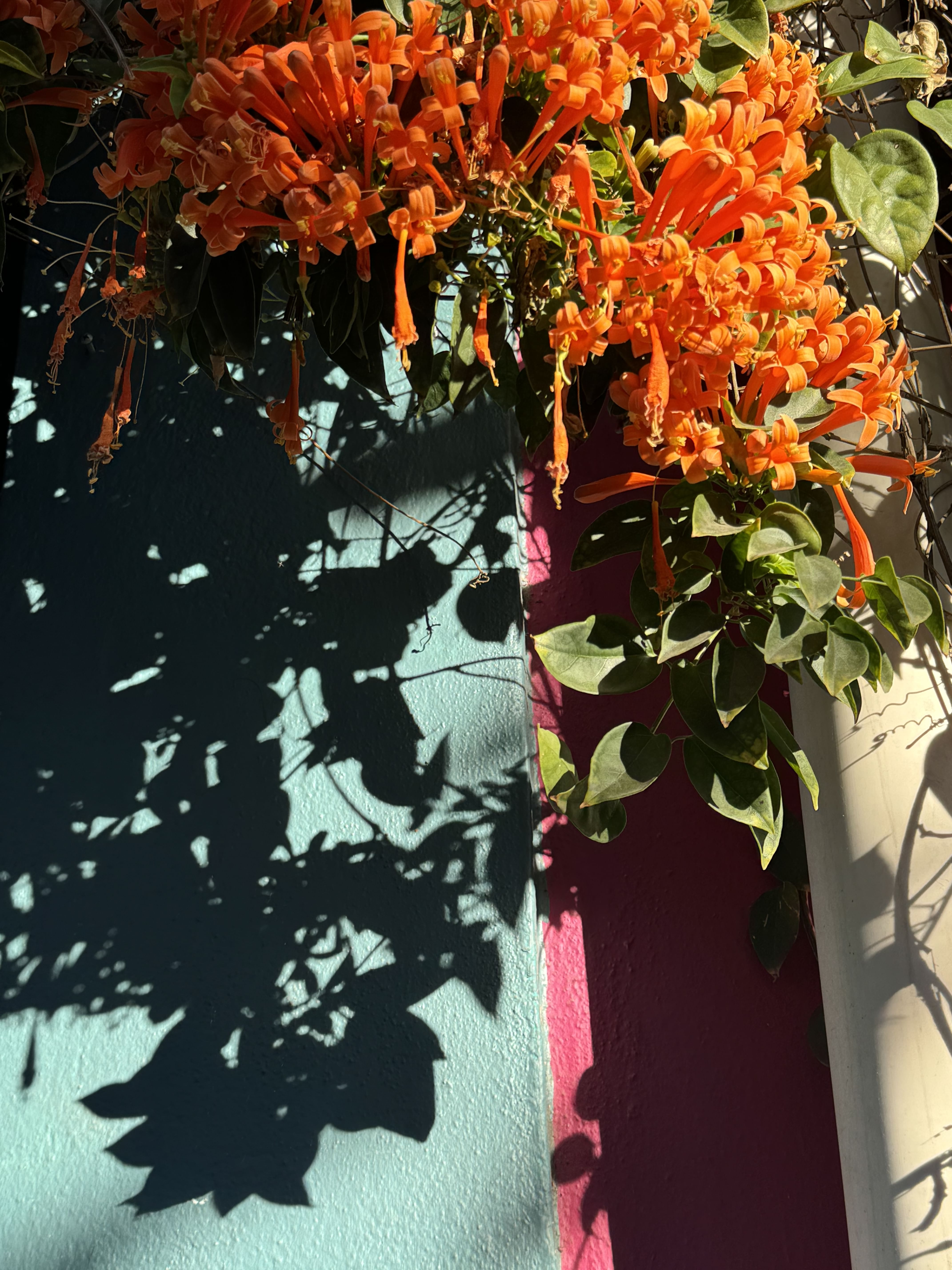 Trip Photo 6