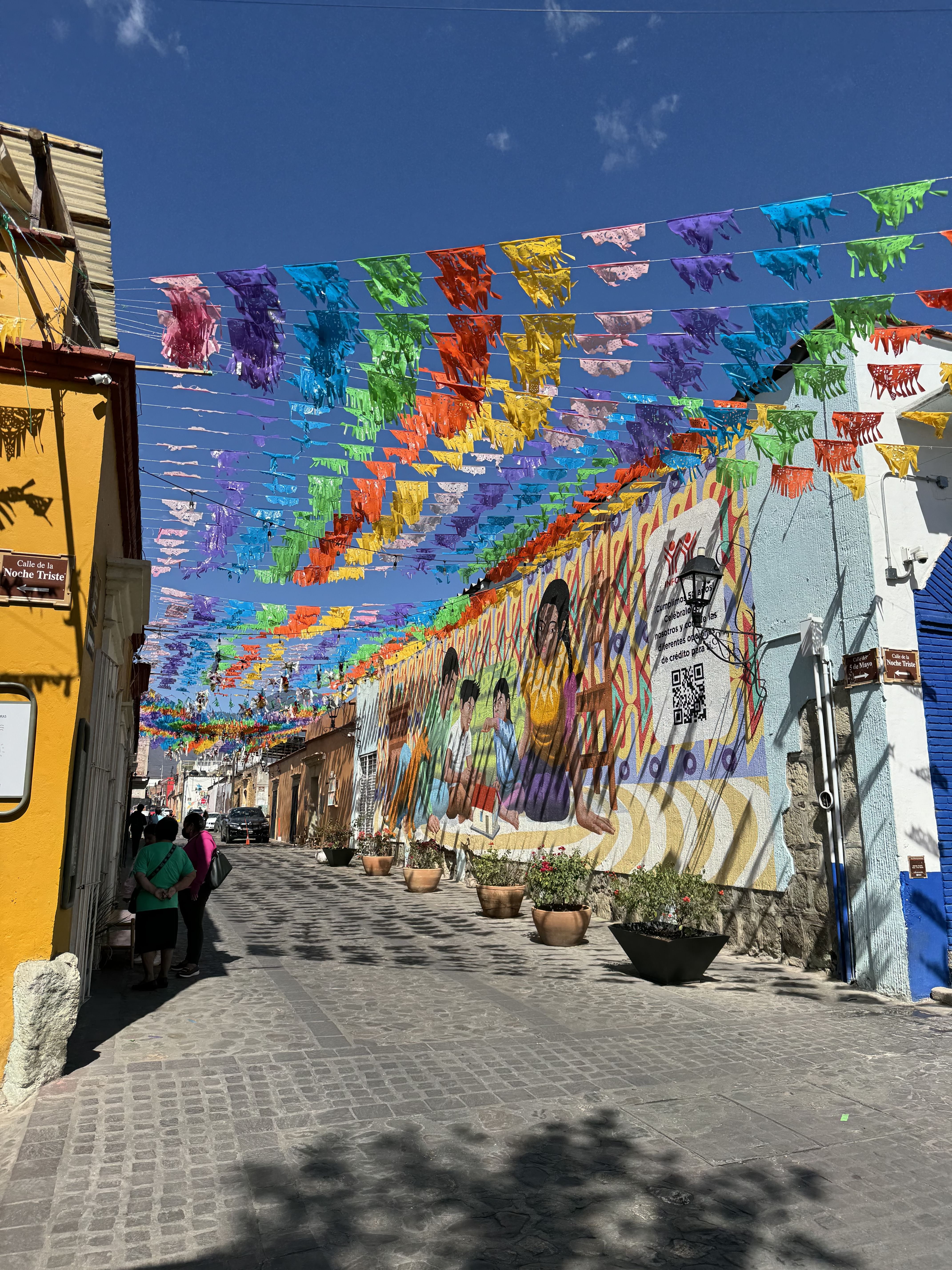 Trip Photo 10
