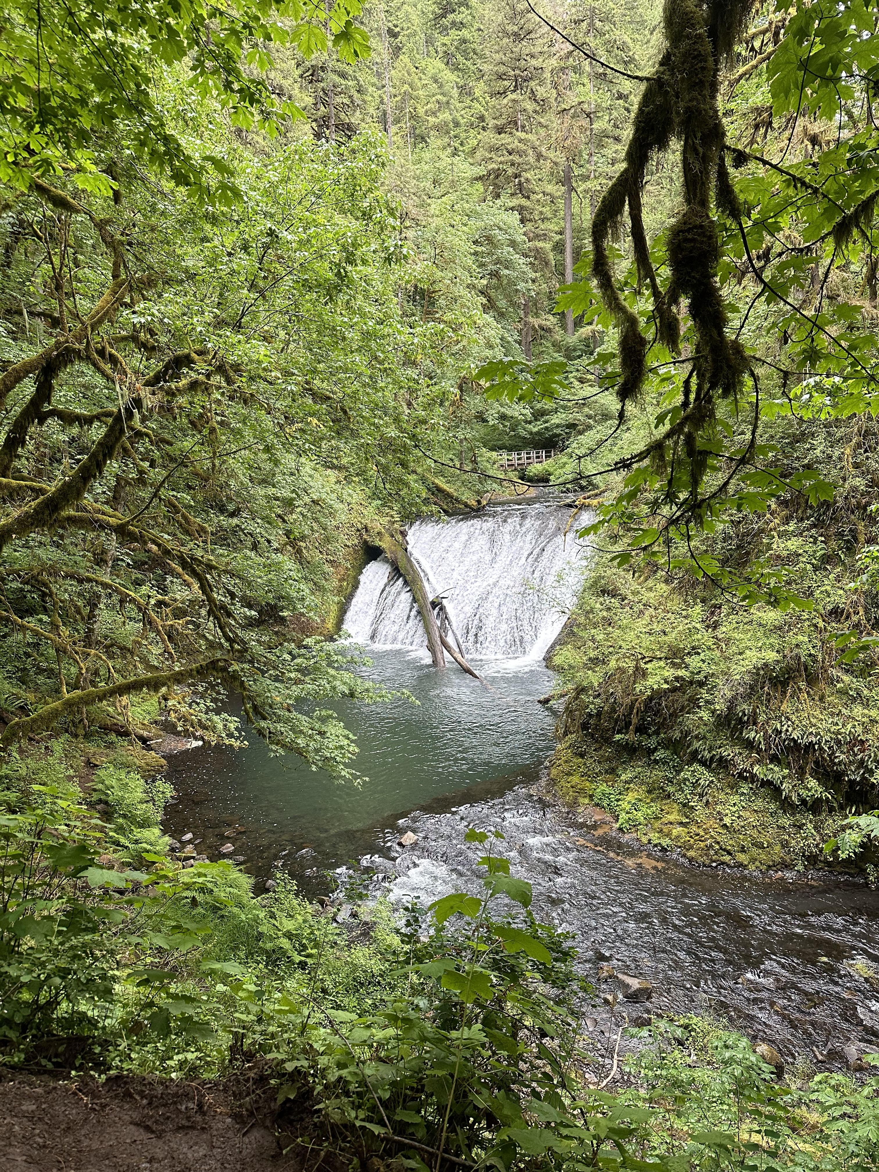 Trip Photo 6