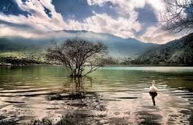 Trip Photo 9