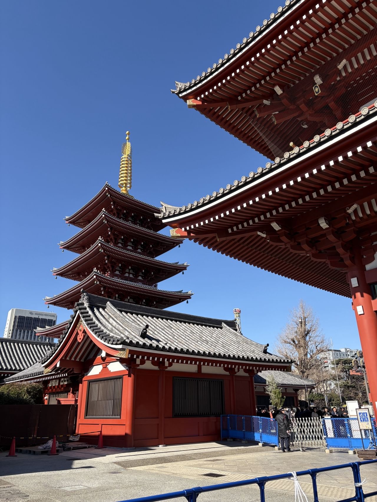 Trip Photo 3