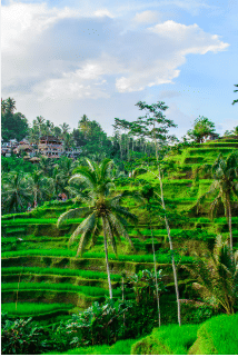 Trip Photo 4