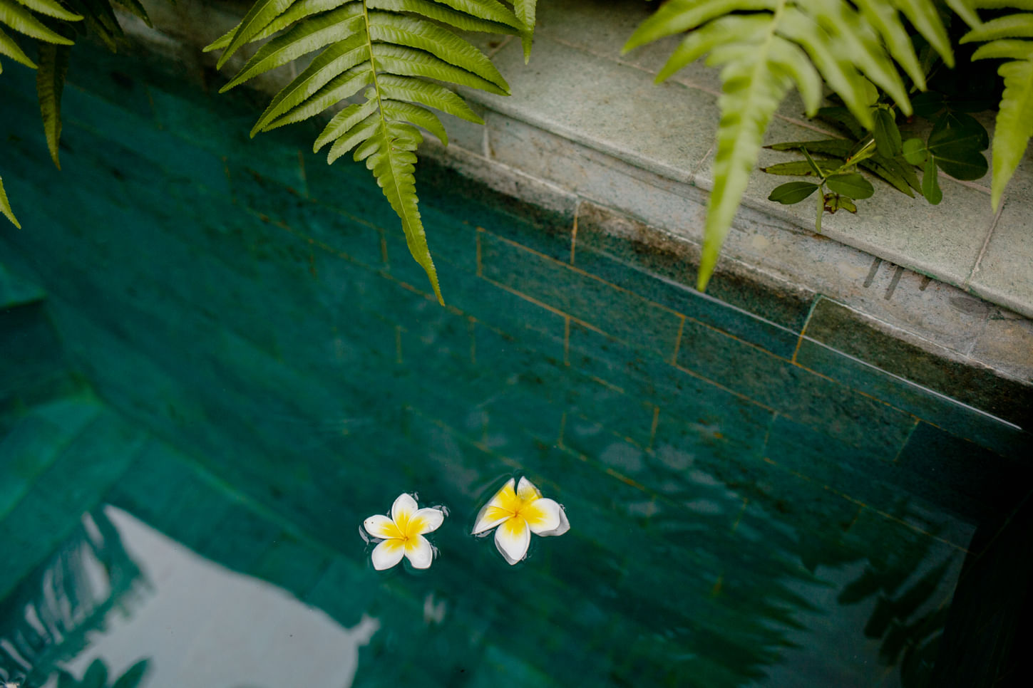 Trip Photo 9
