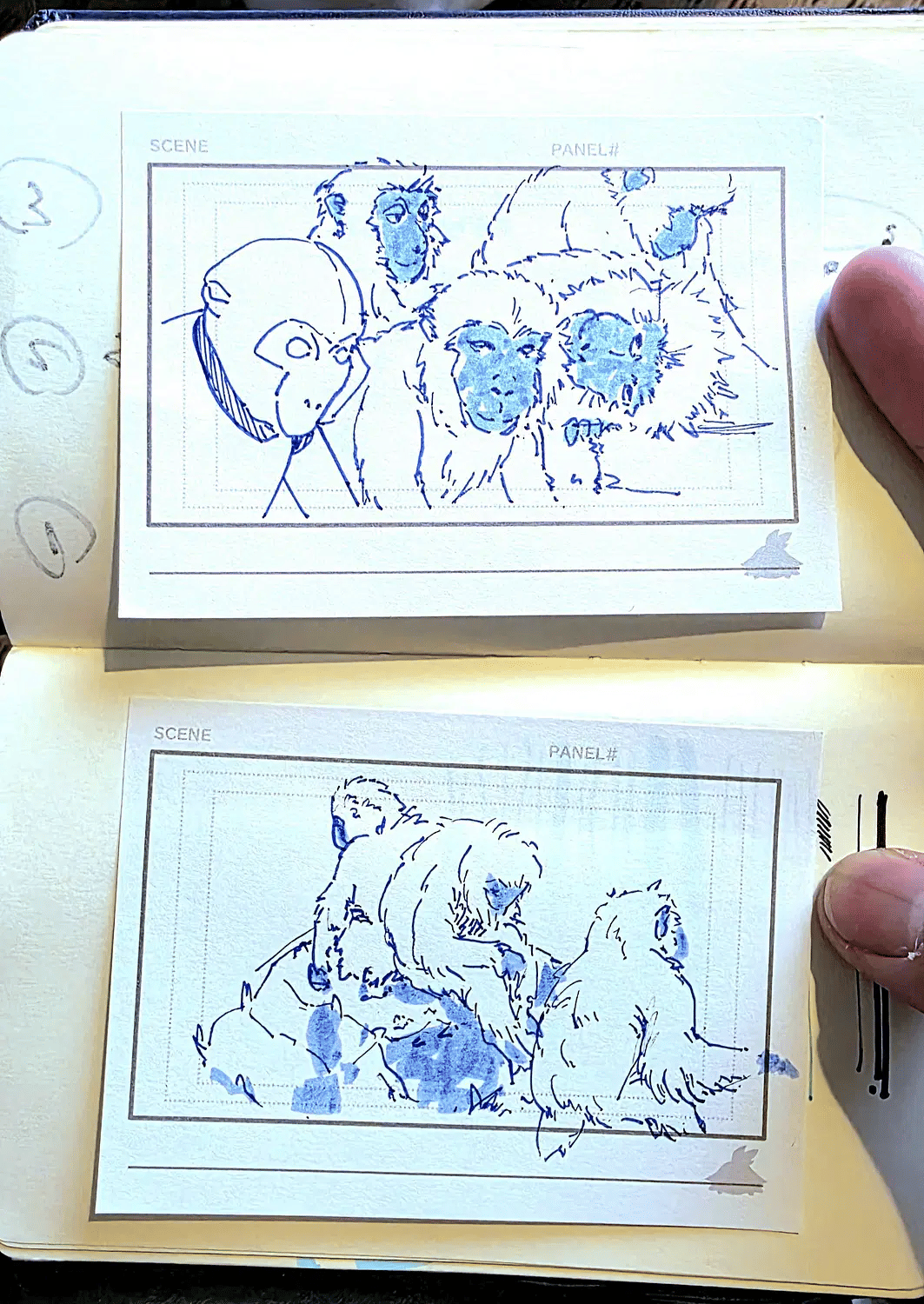 Trip Photo 6