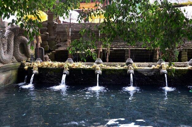 Trip Photo 8