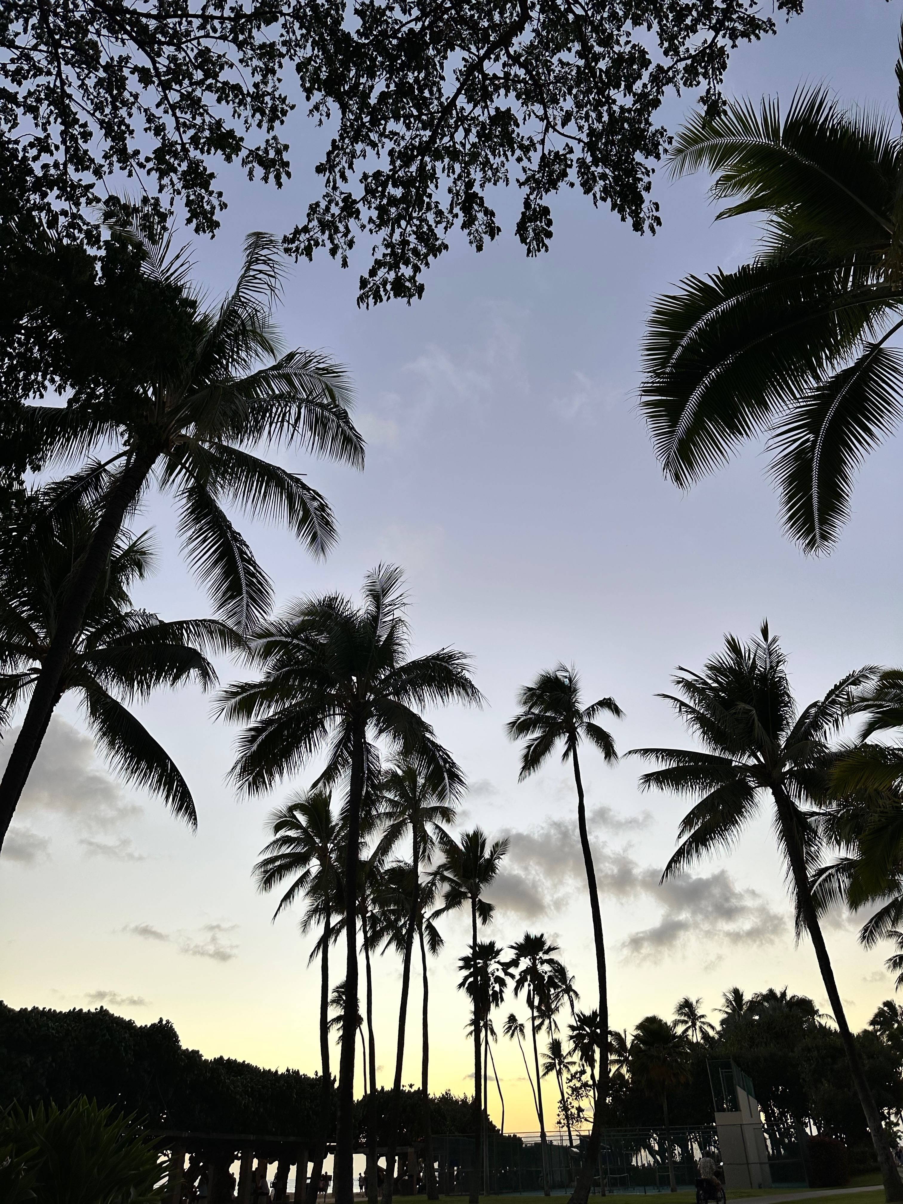 Trip Photo 10