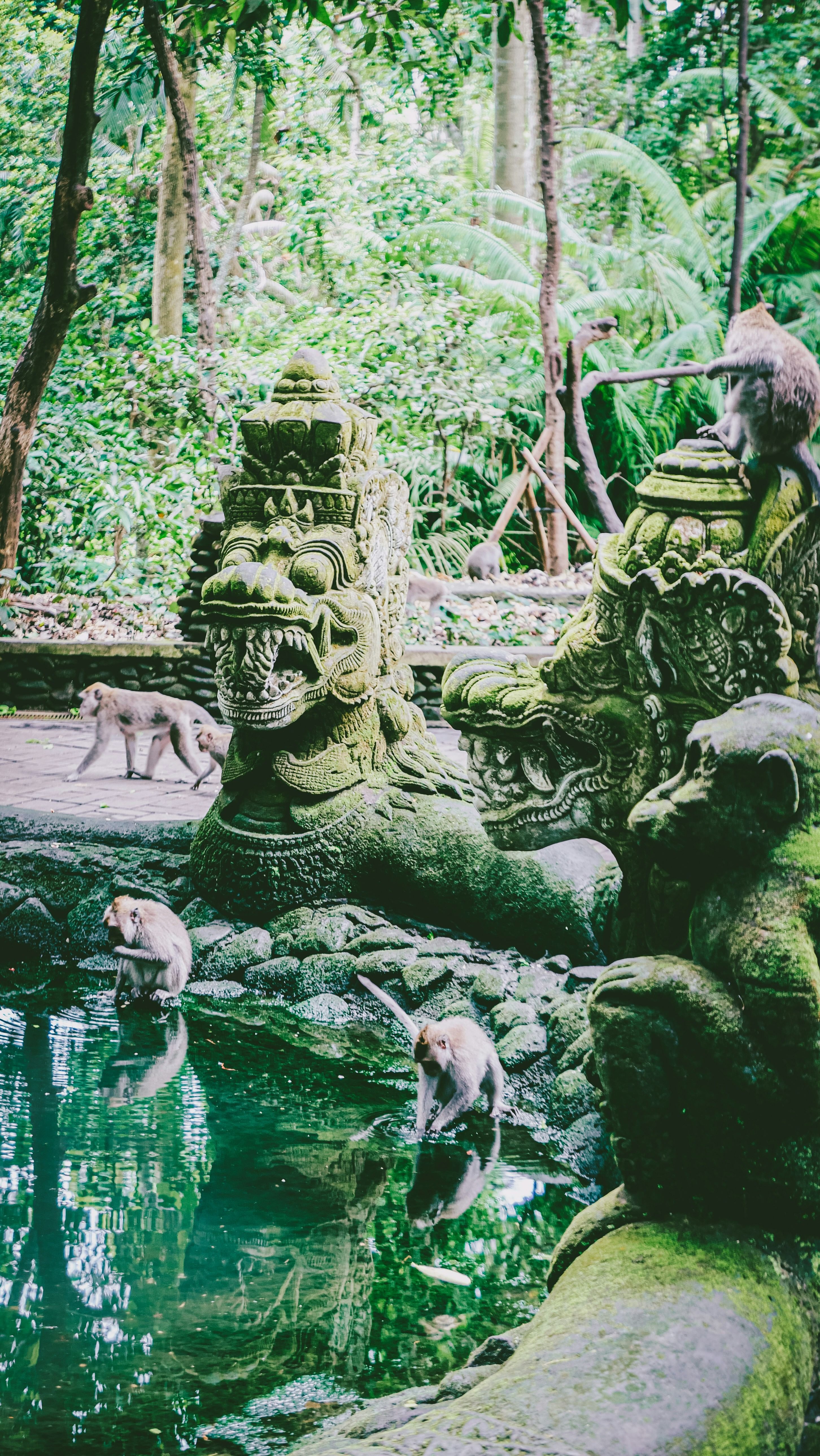 Trip Photo 8