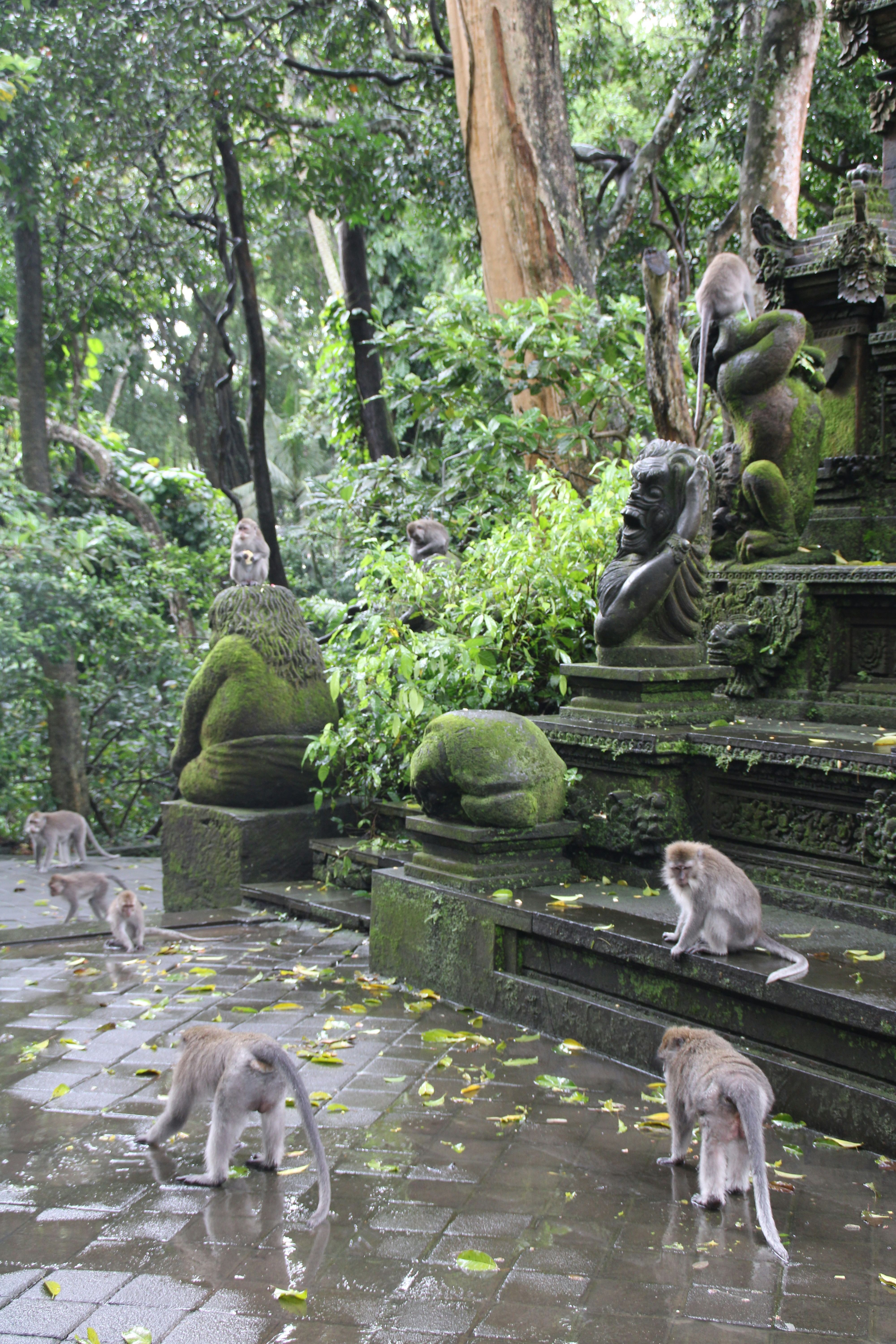 Trip Photo 7