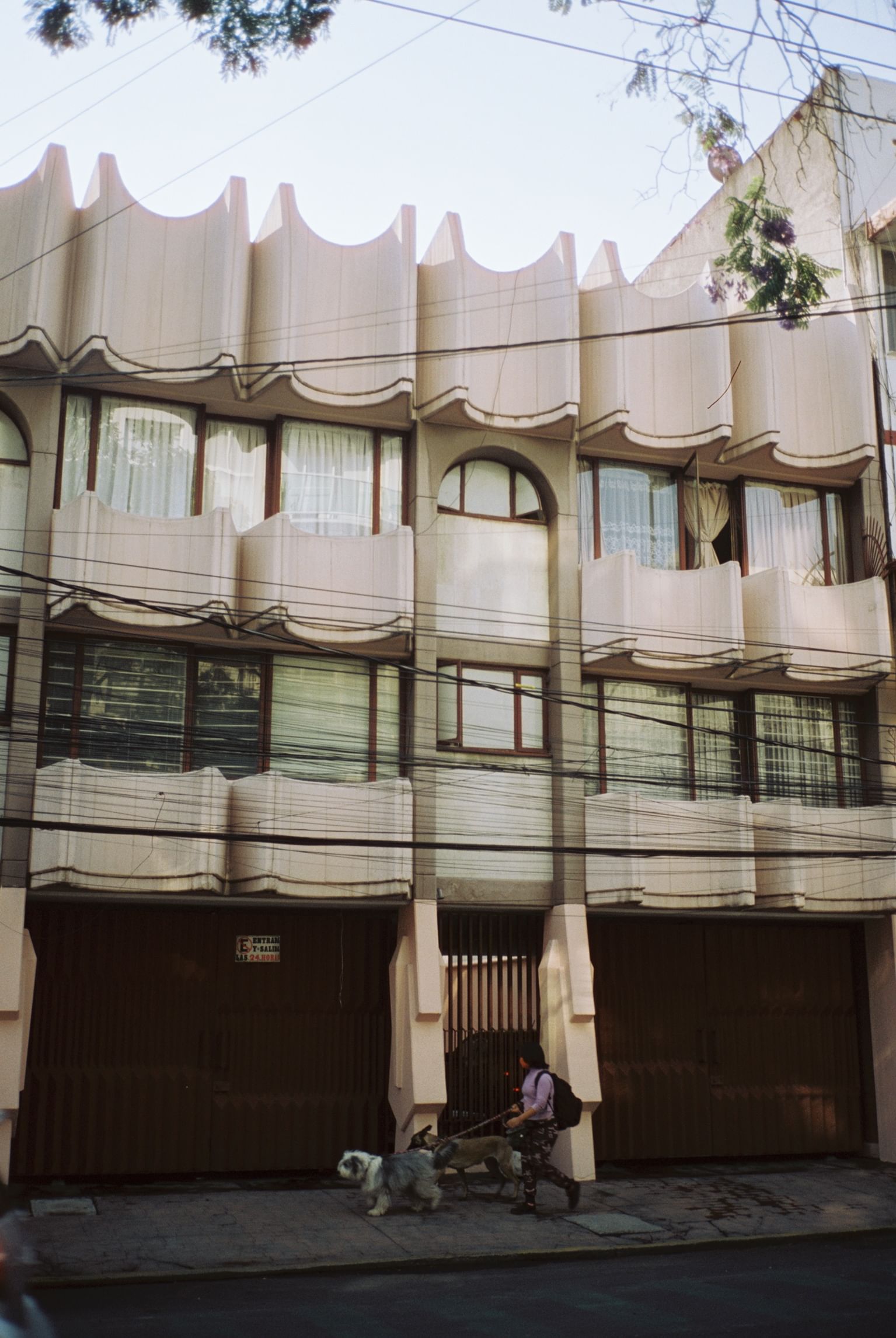 Trip Photo 4