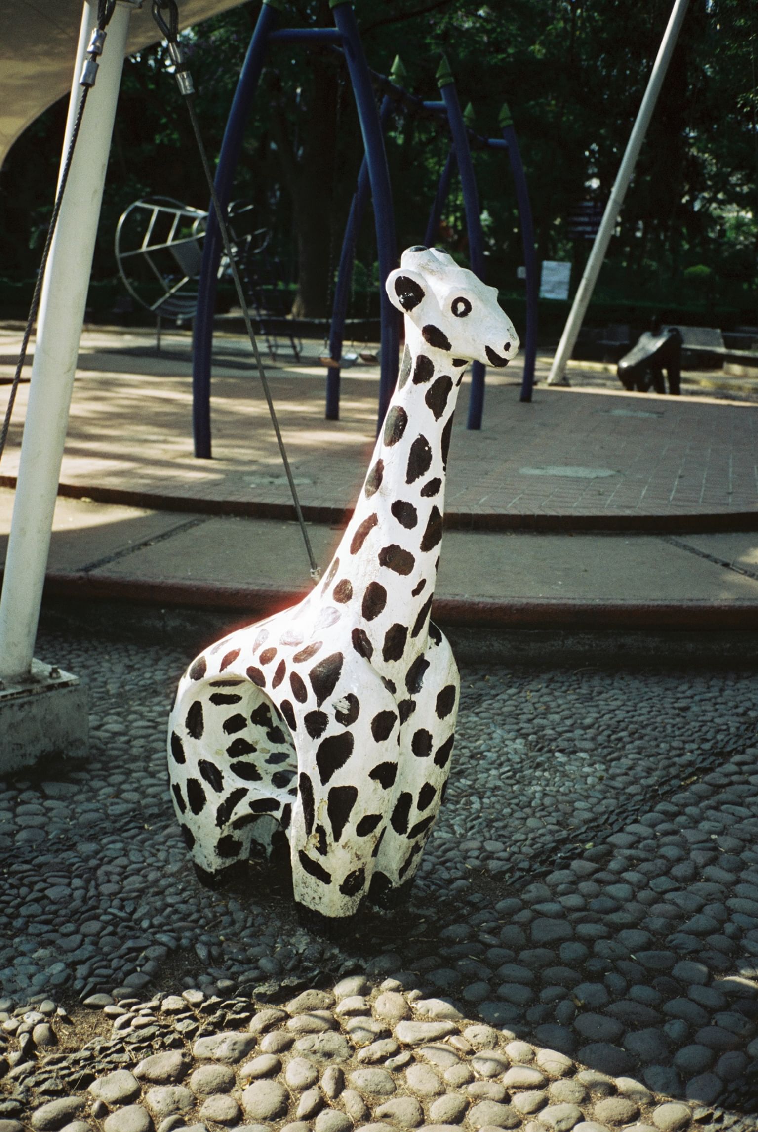 Trip Photo 2
