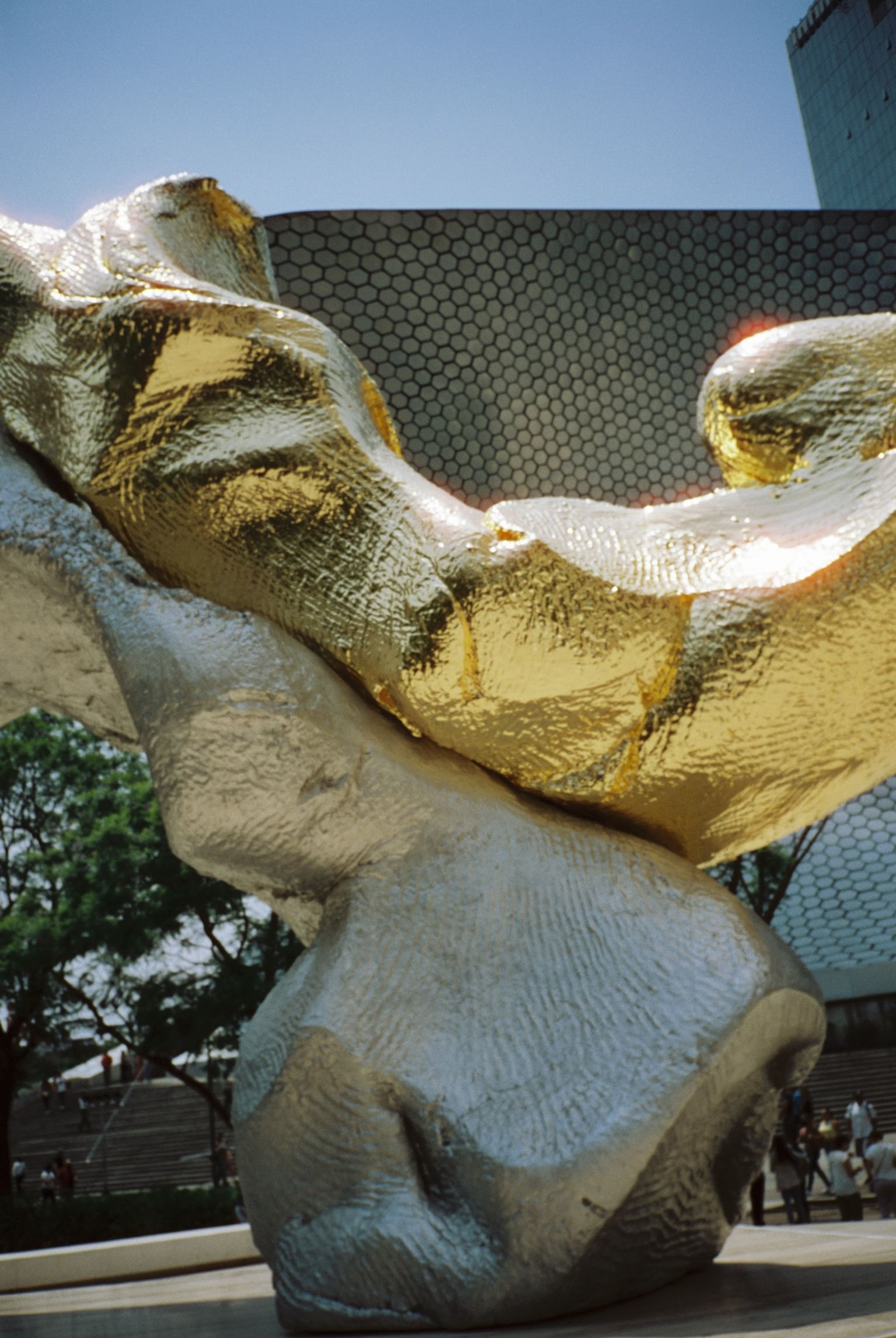 Trip Photo 10