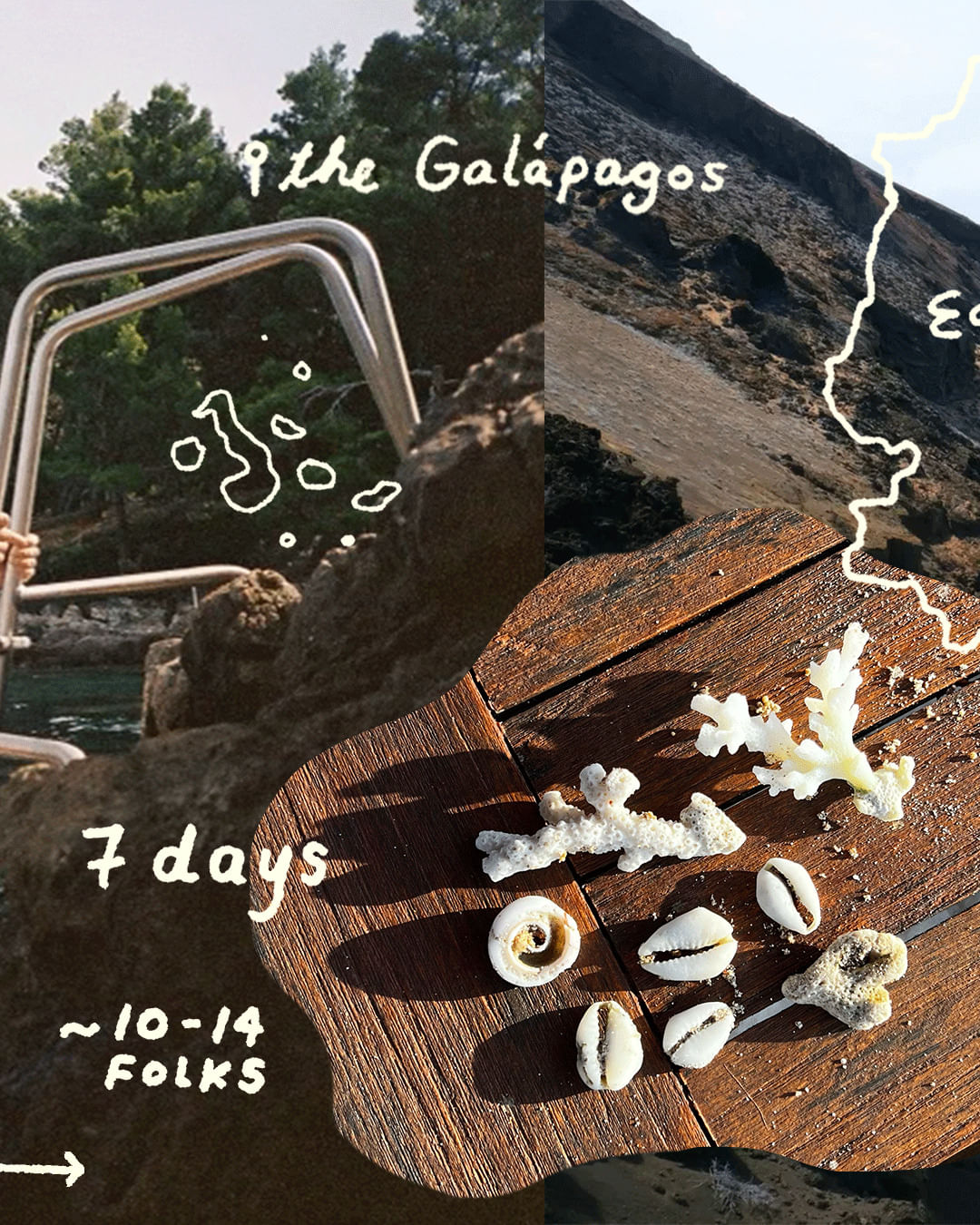 Trip Photo 2