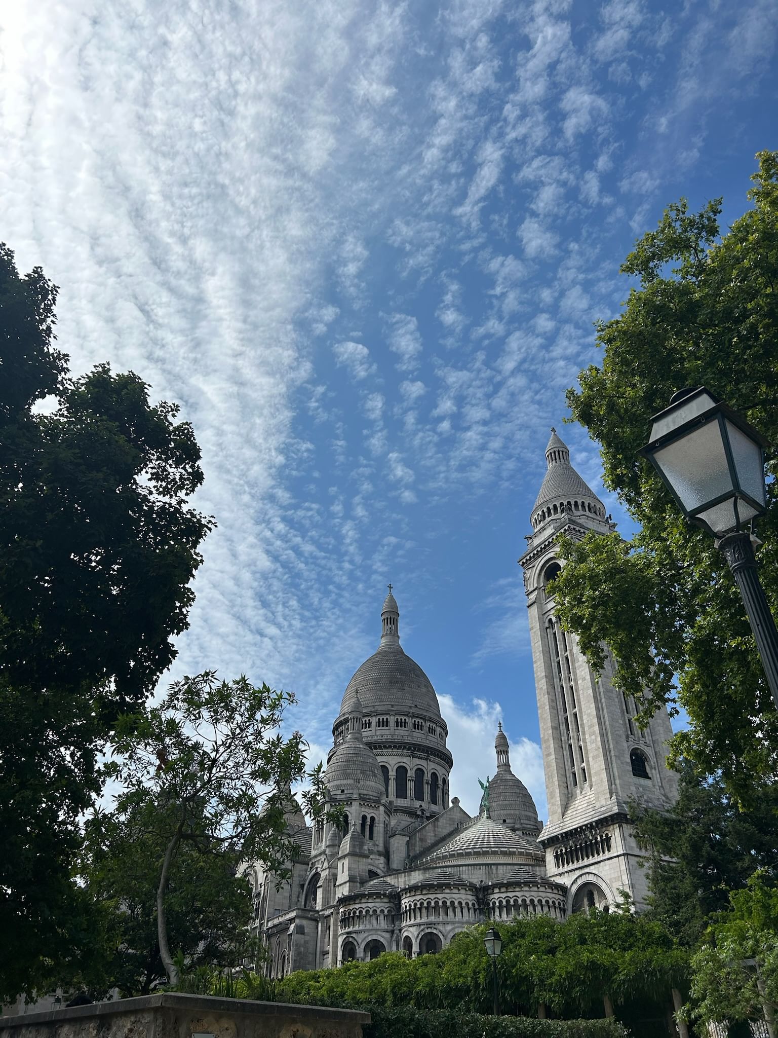 Trip Photo 4