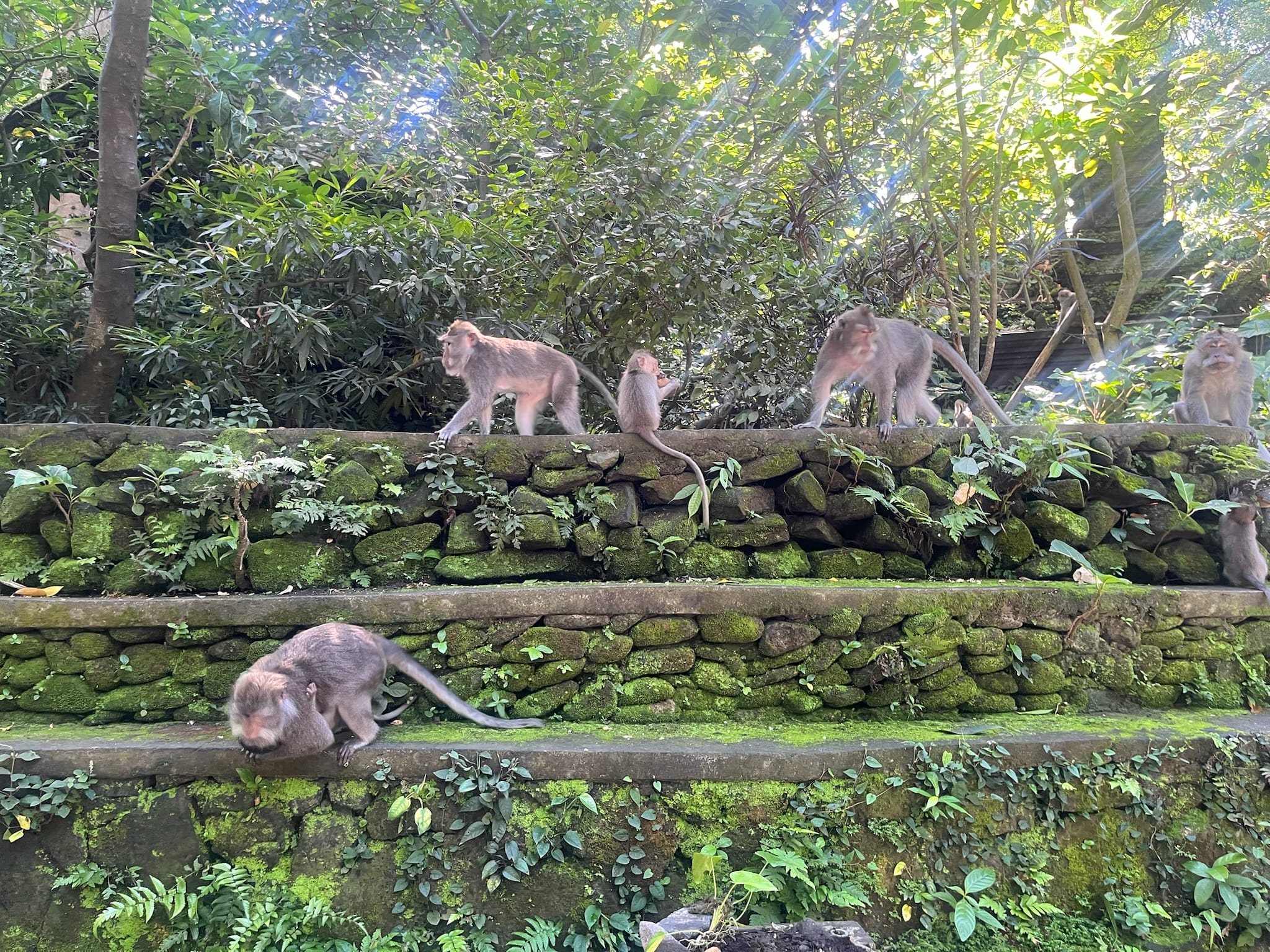 Trip Photo 9